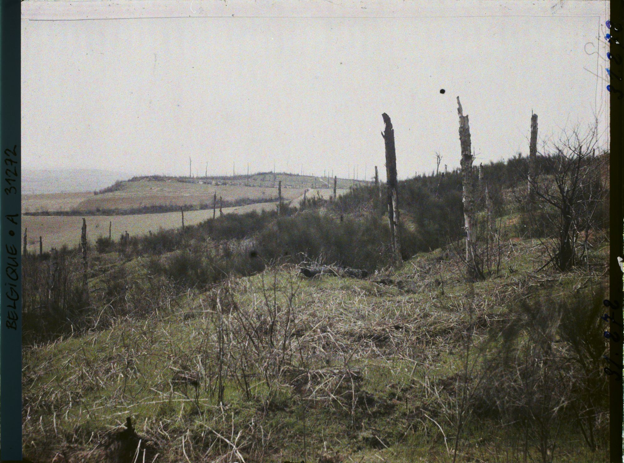Image représentant Belgique, Kemmel, Le petit Kemmel (132 m), vu du Grand du Kemmel (151 m)