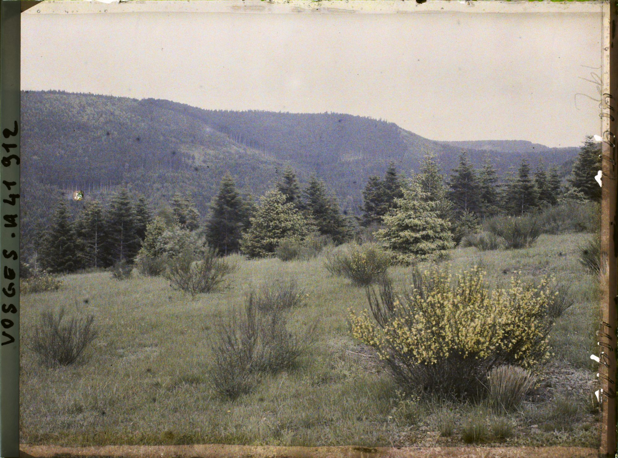 Image représentant France, Le Donon, Vallée de la Celle, aspect du terrain