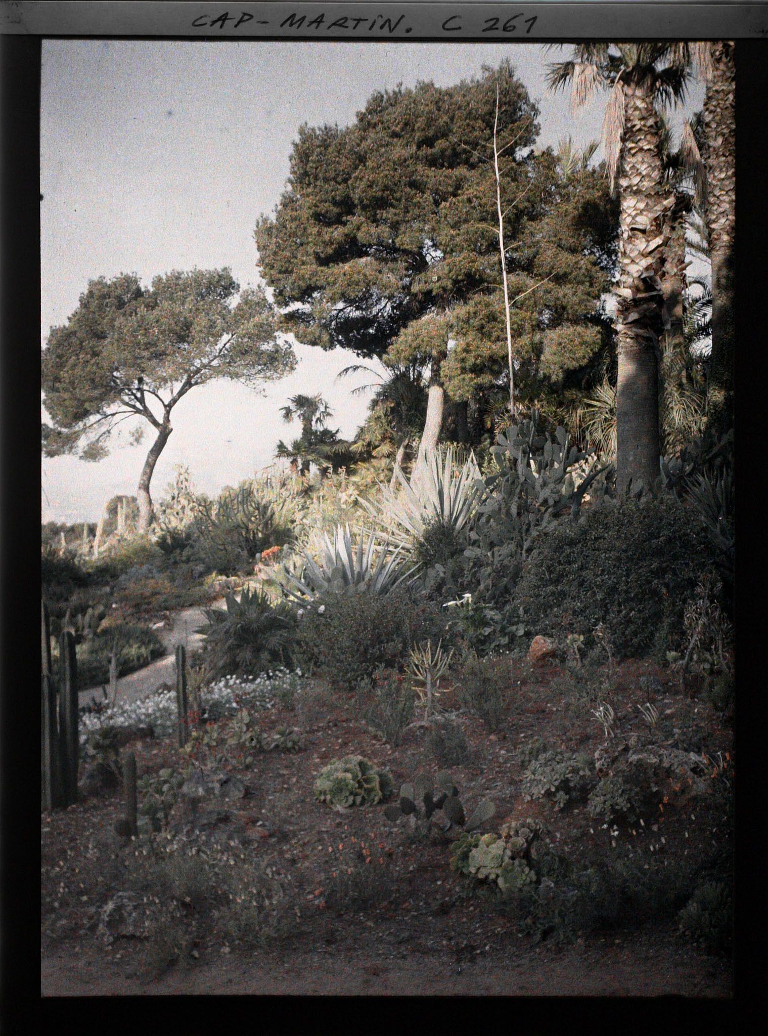 Image représentant Cap-Martin - Le Jardin