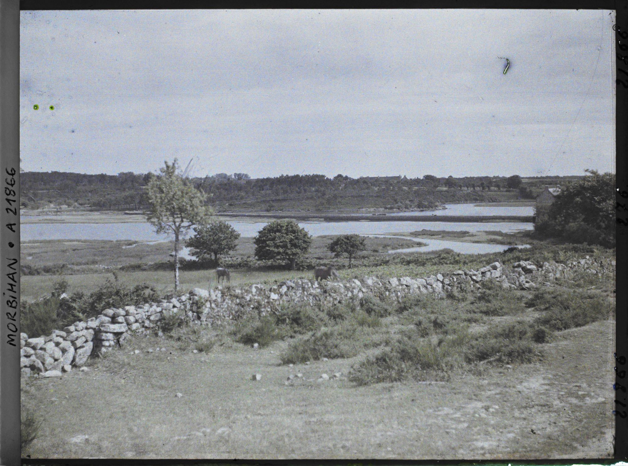 Image représentant Bras de mer remontant dans les terres