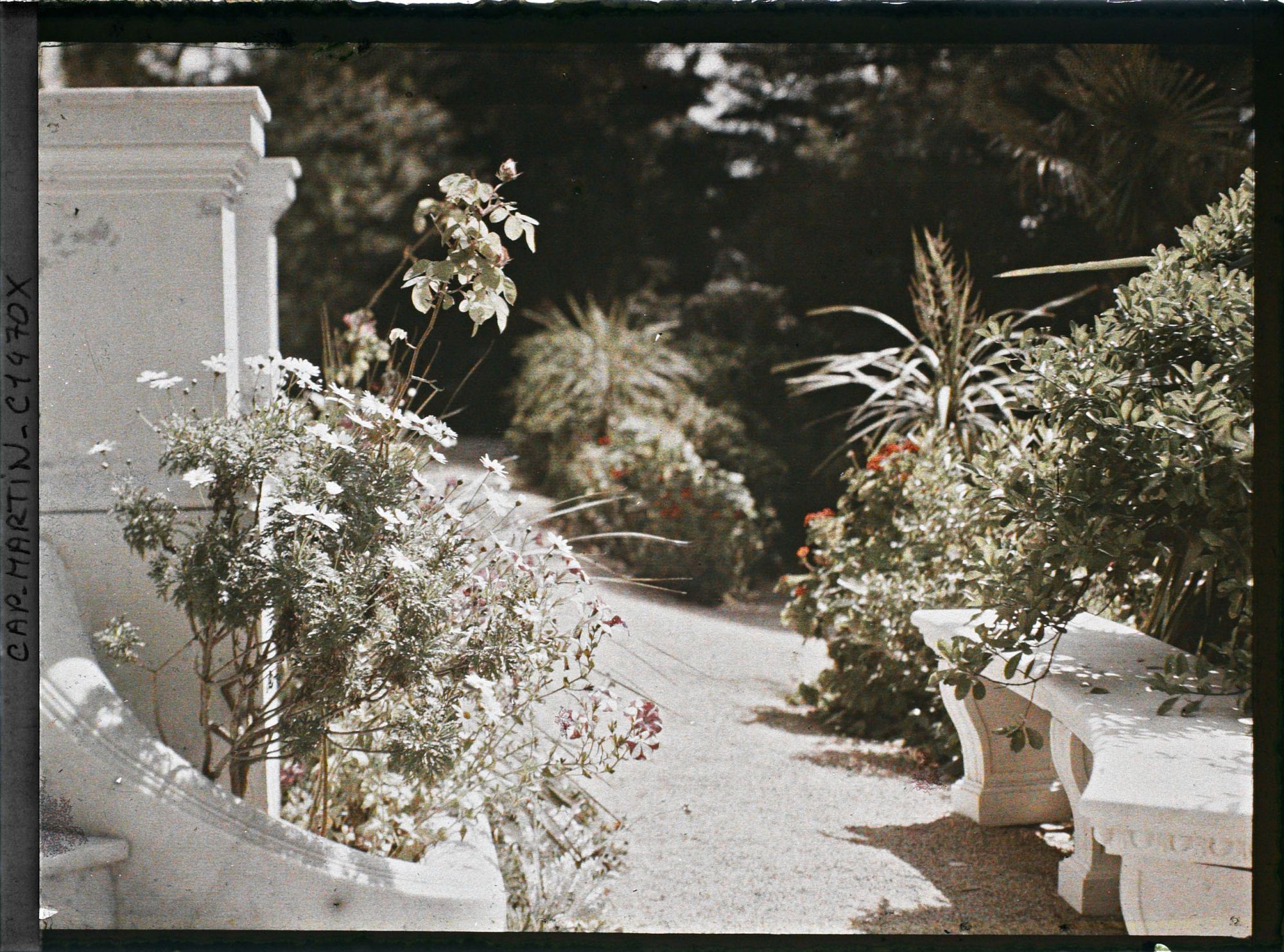 Image représentant Villa Miramar fleurs près du perron