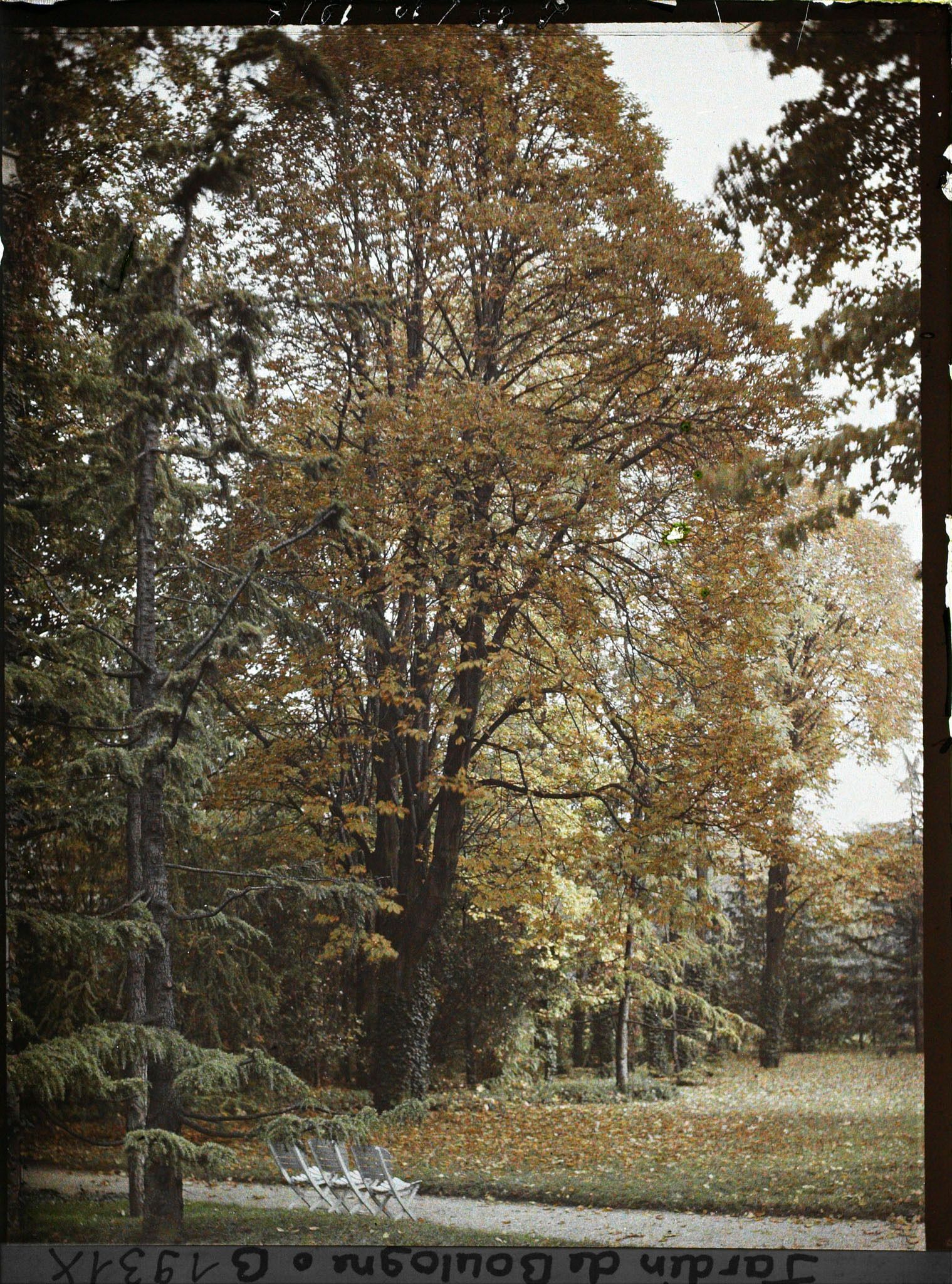 Image représentant La grande pelouse