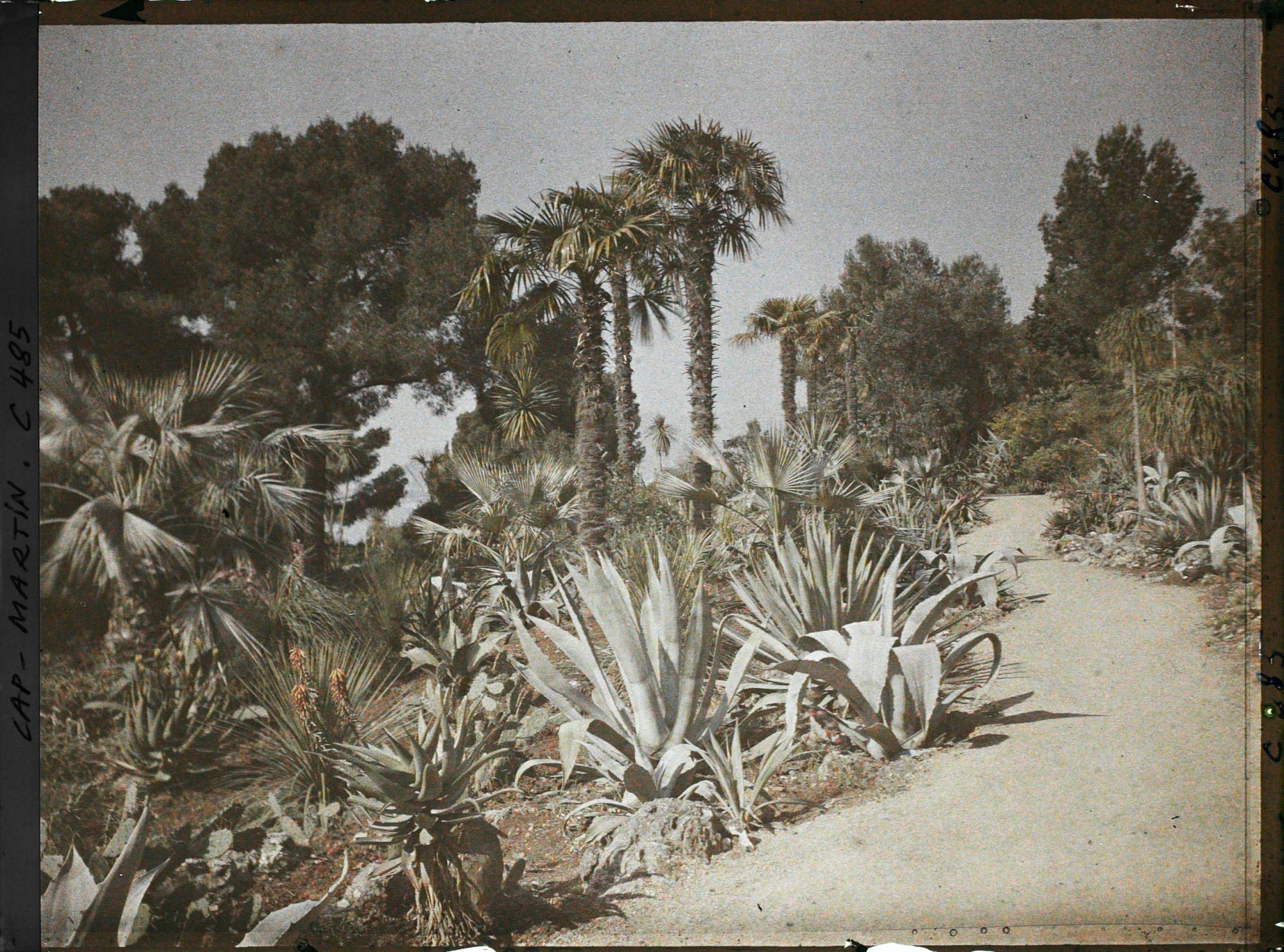 Image représentant Cap Martin Le Jardin