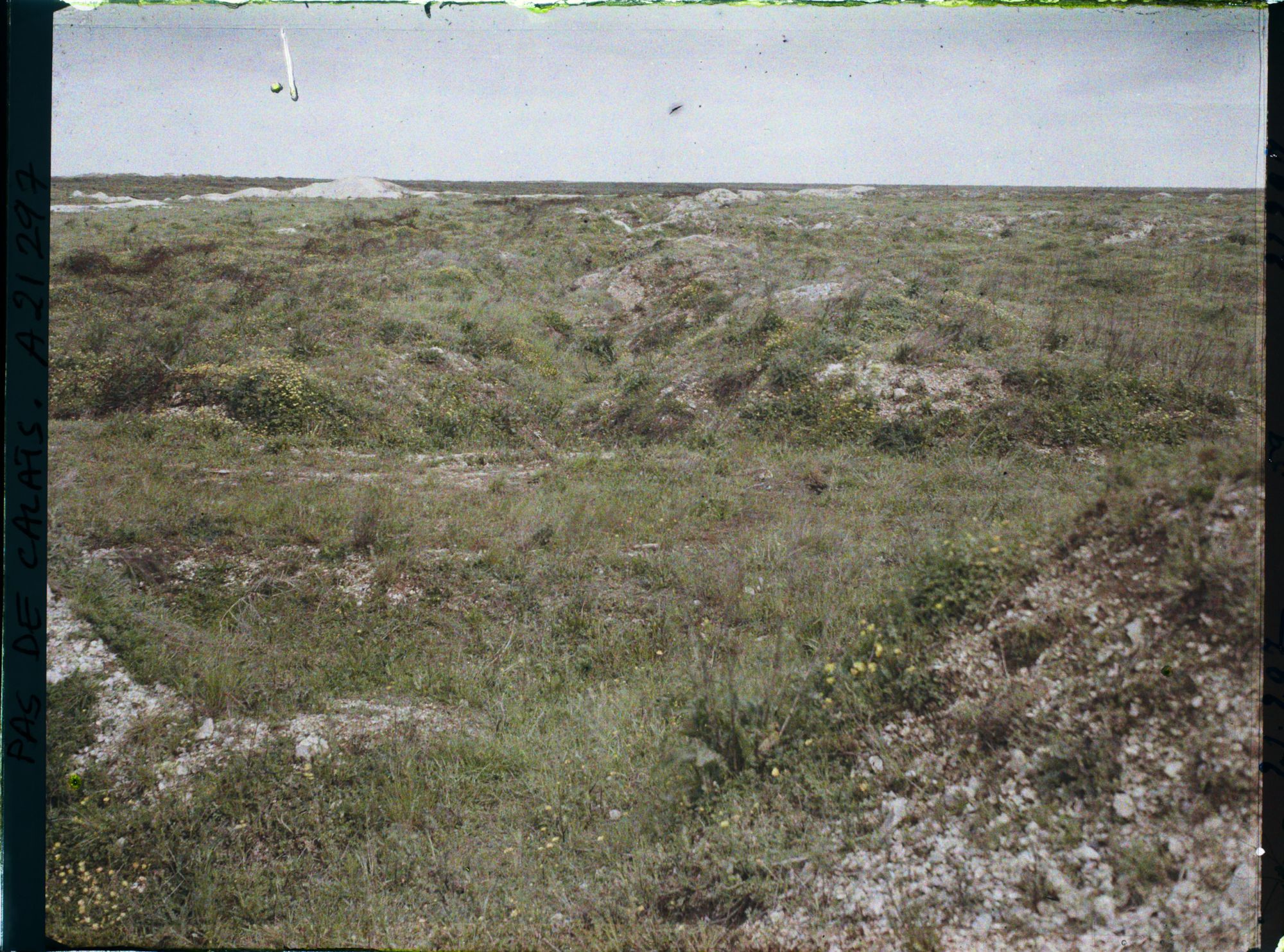 Image représentant France, Neuville-St-Vaast, Aspect du pays entre Neuville St Vaast et Vimy