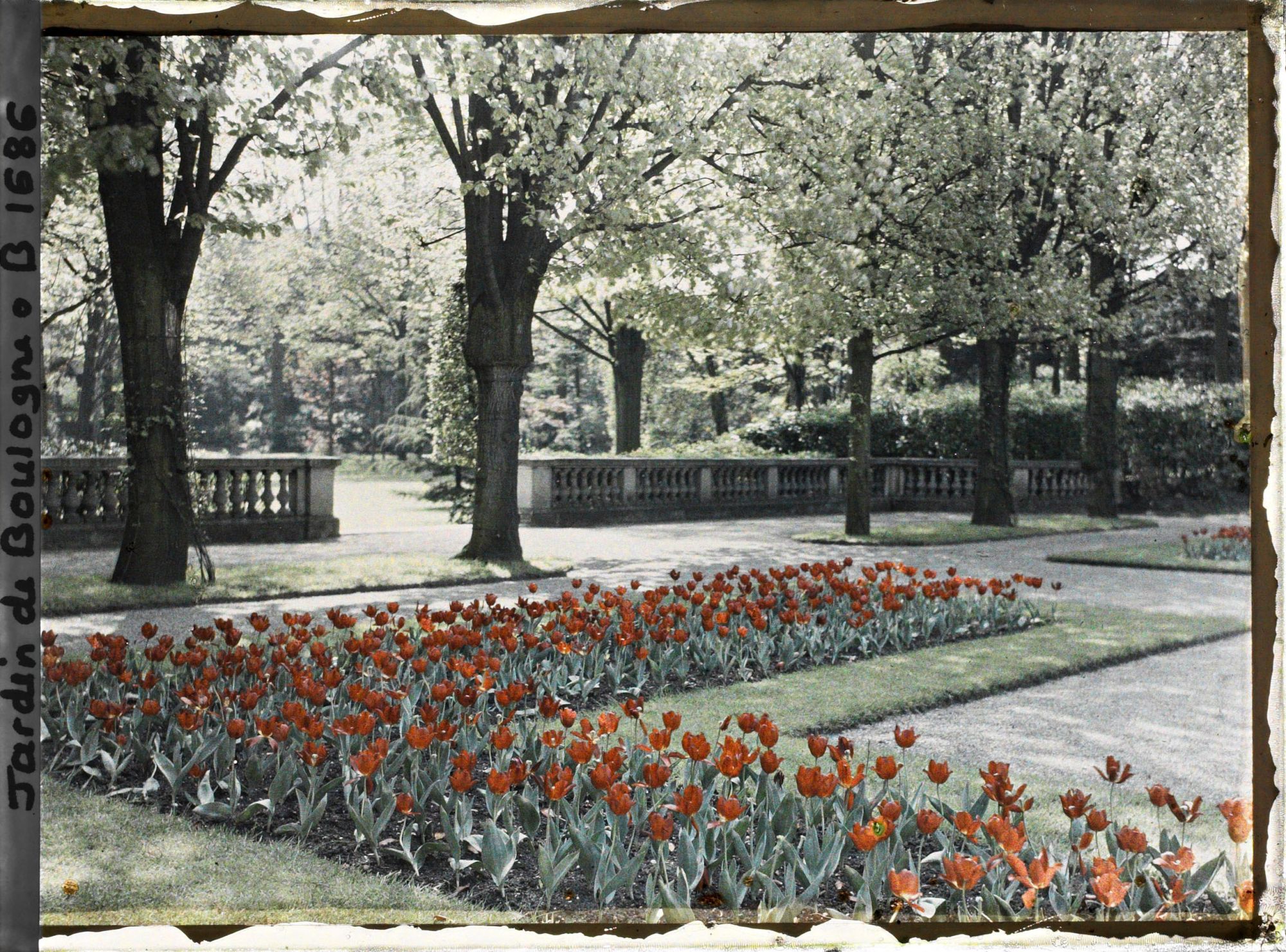 Image représentant Parterre nord-est du jardin français et ouverture sur le jardin anglais