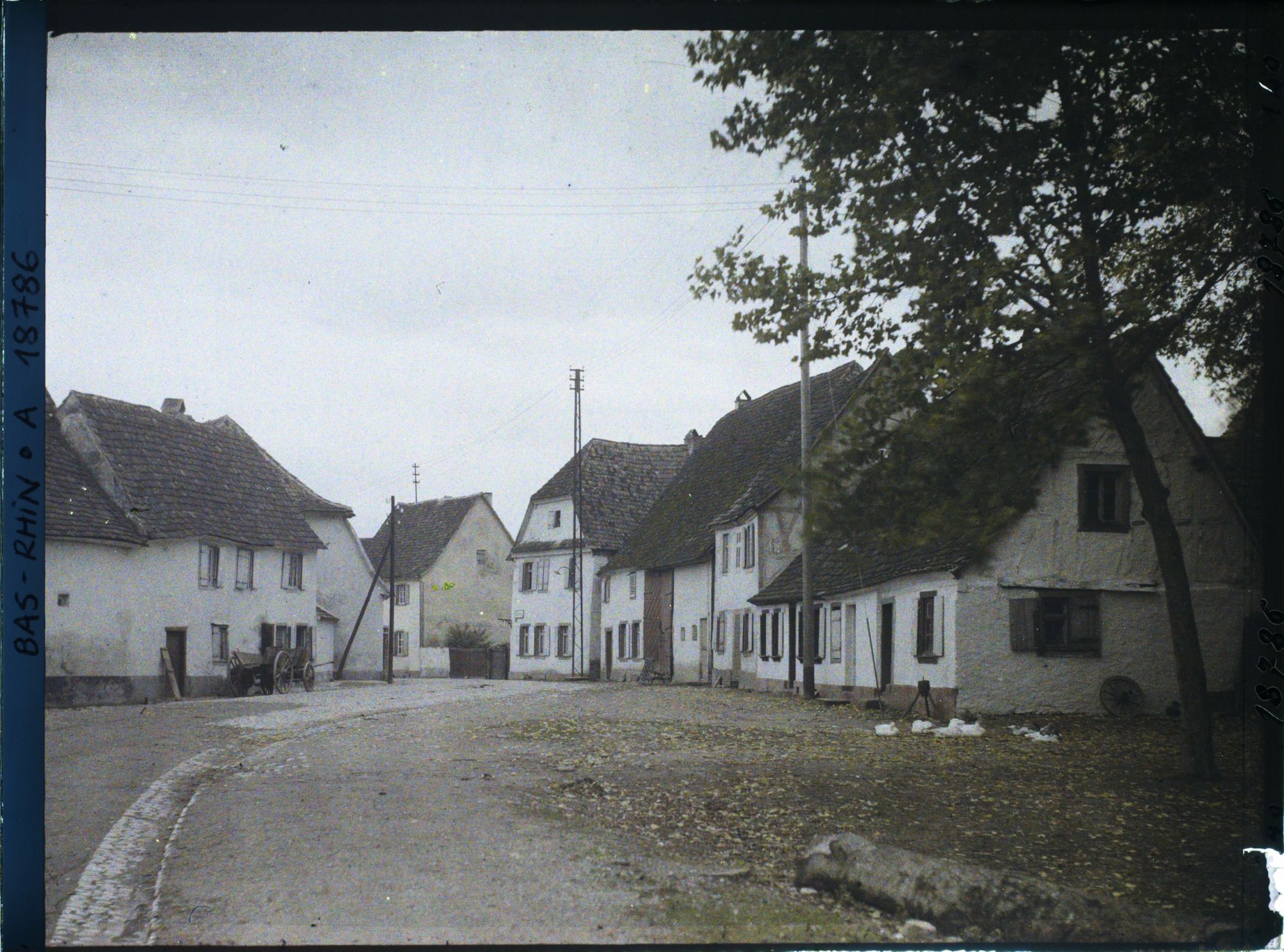 Image représentant France, Lauterbourg, L'entrée de la rue Principale de Lauterbourg