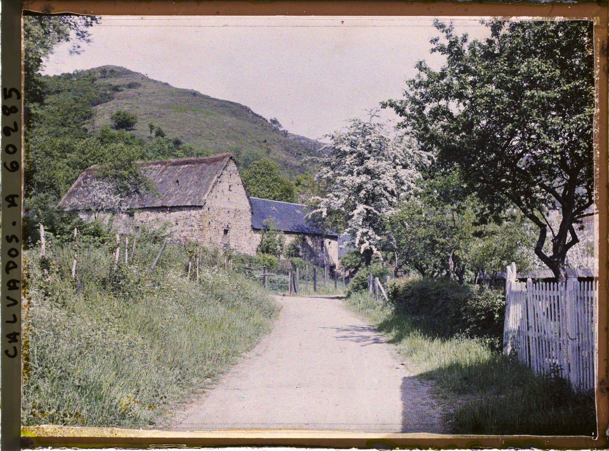 Image représentant Le Pain de Sucre