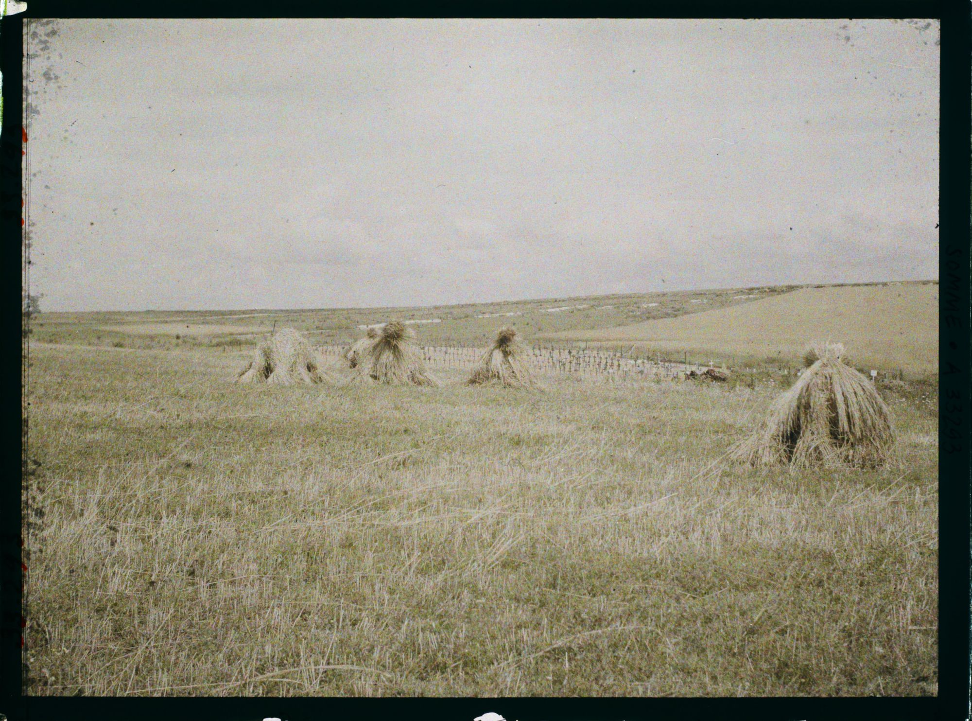 Image représentant France, Ancien champ de bataille entre Bray et Fricourt. terres remises en culture