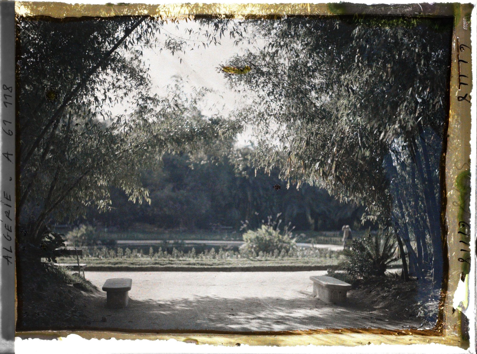 Image représentant Le jardin Français dans le jardin d'Essais