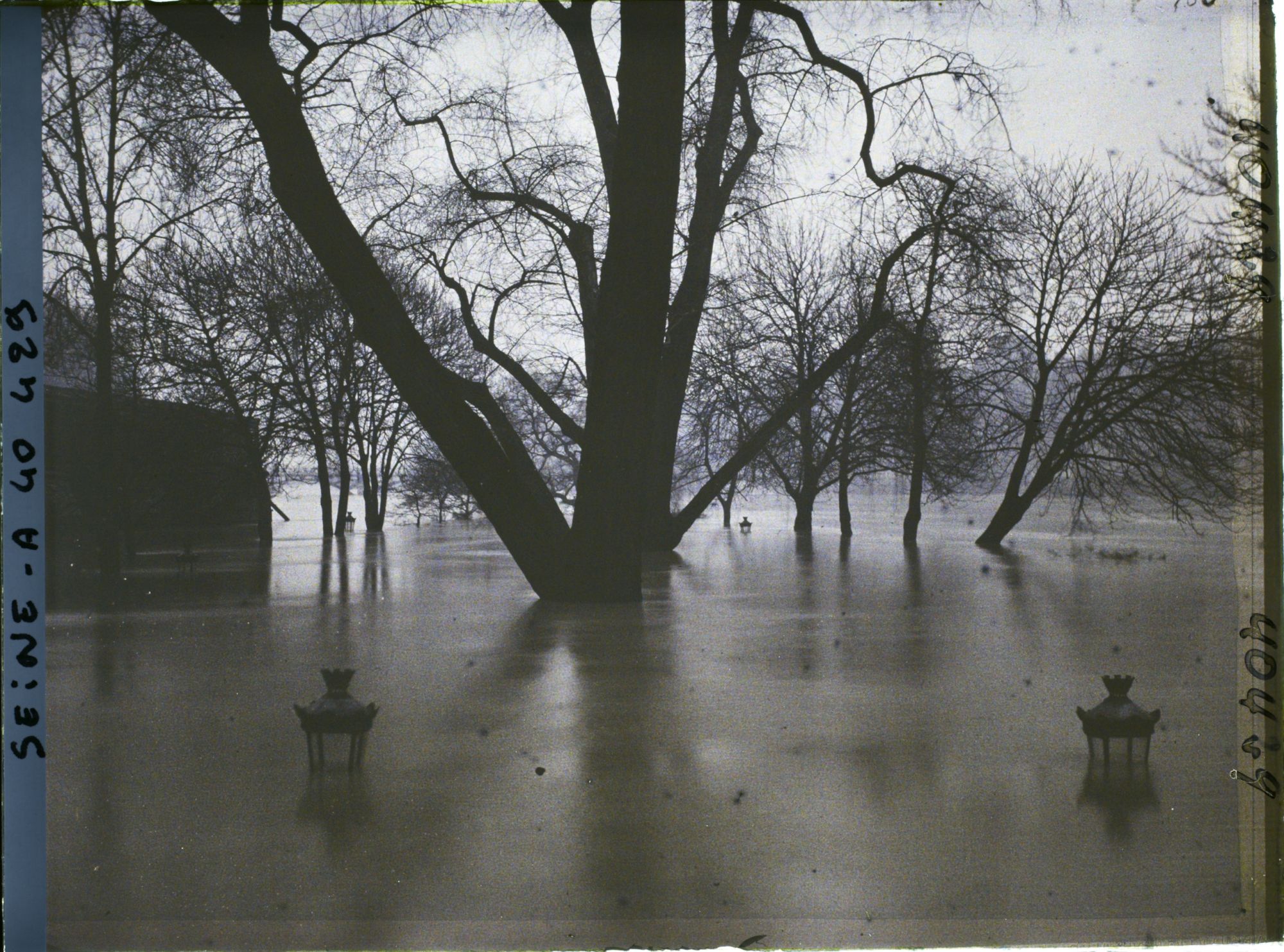 Image représentant La crue de la Seine à la pointe de l'île de la Cité, square du Vert-Galant