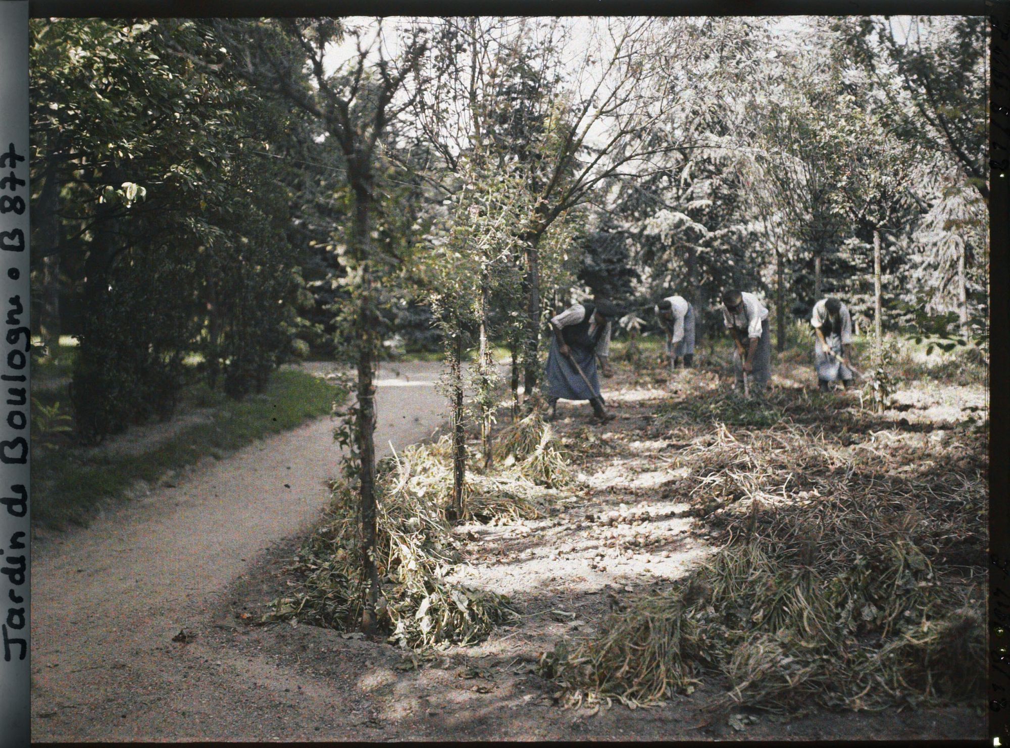 Image représentant Jardiniers en pleine récolte, au nord-ouest du verger-roseraie vu en direction de la forêt bleue