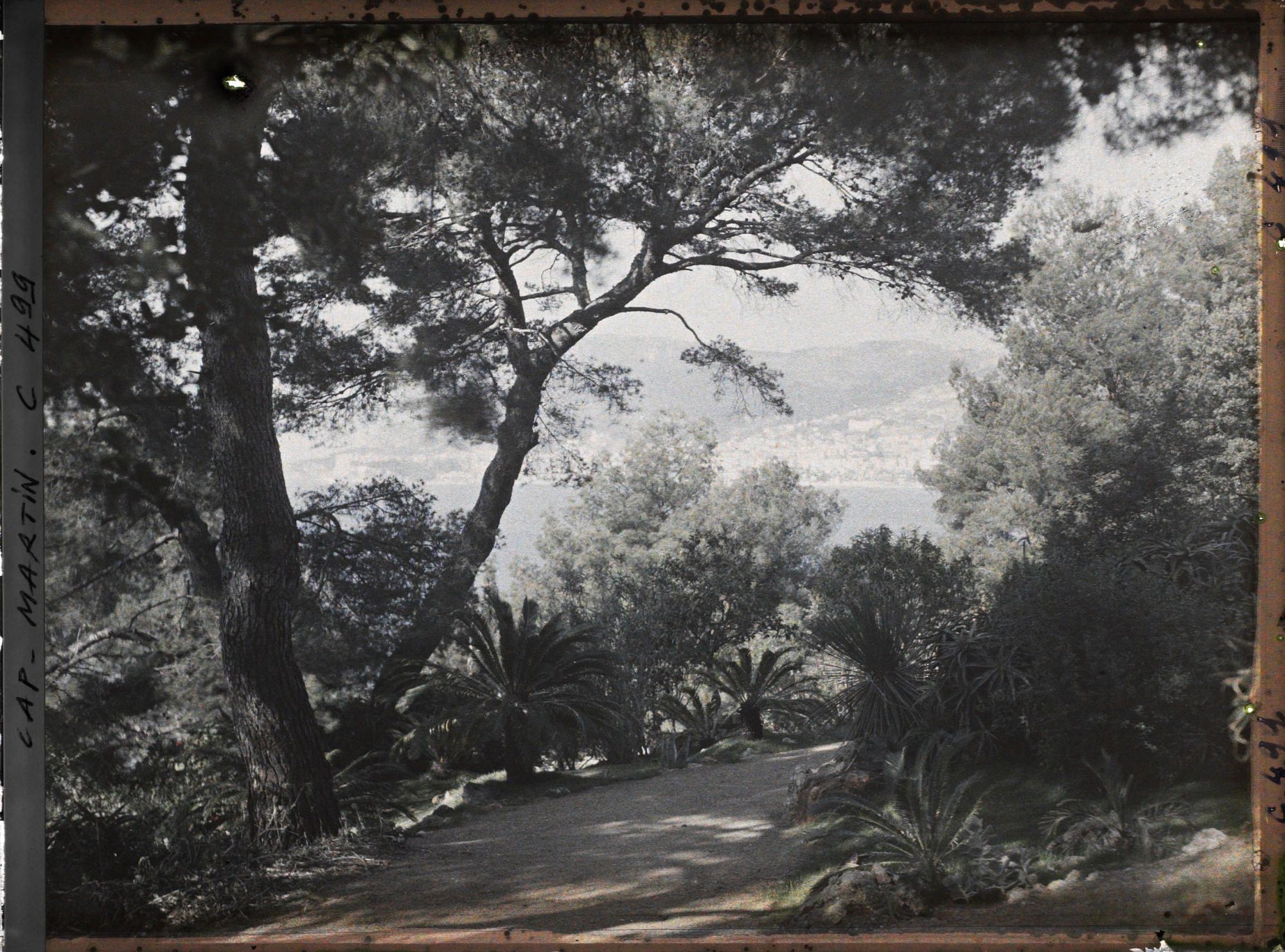 Image représentant Cap Martin Le Jardin