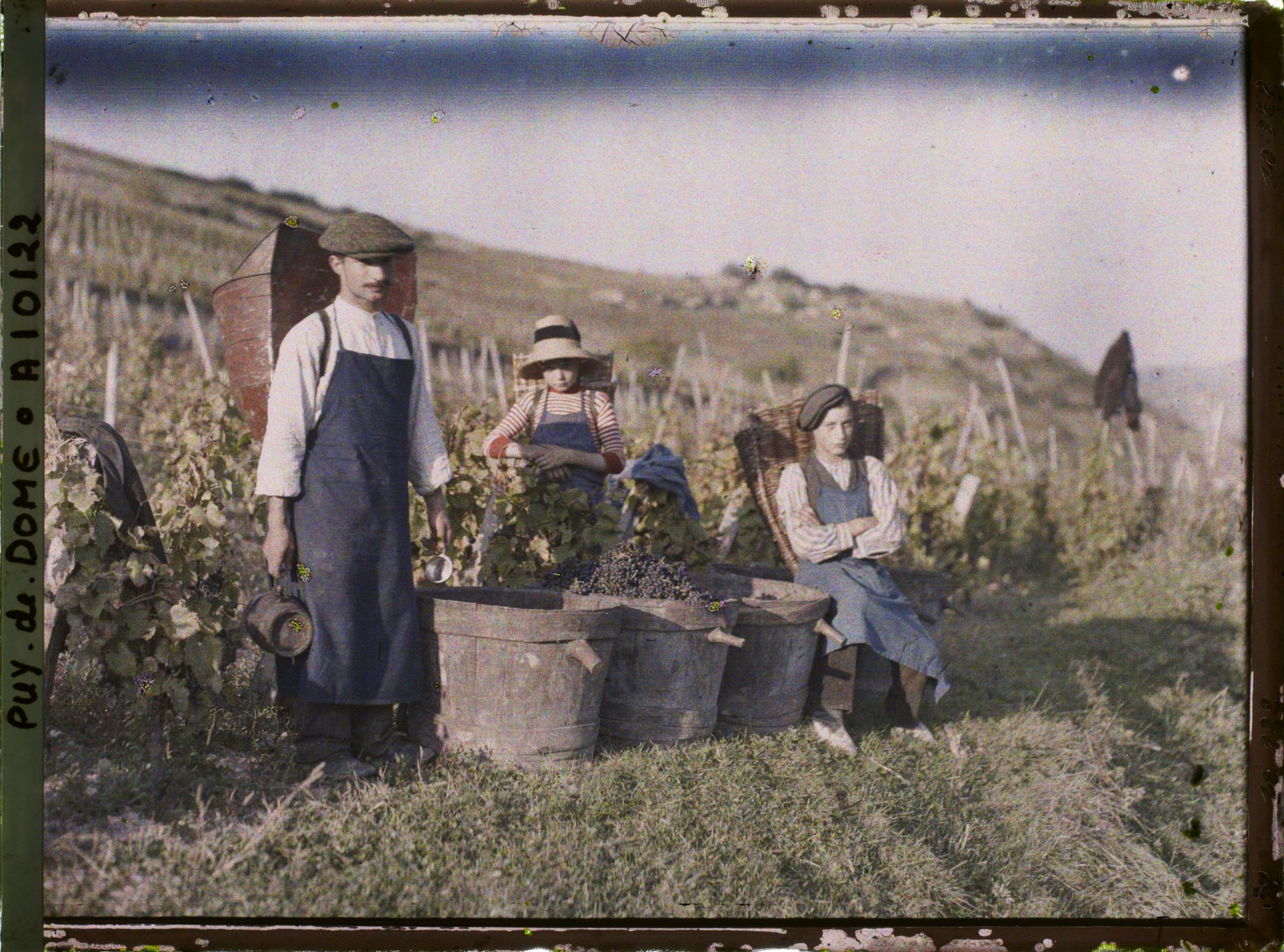Image représentant Des porteurs de hottes pendant les vendanges