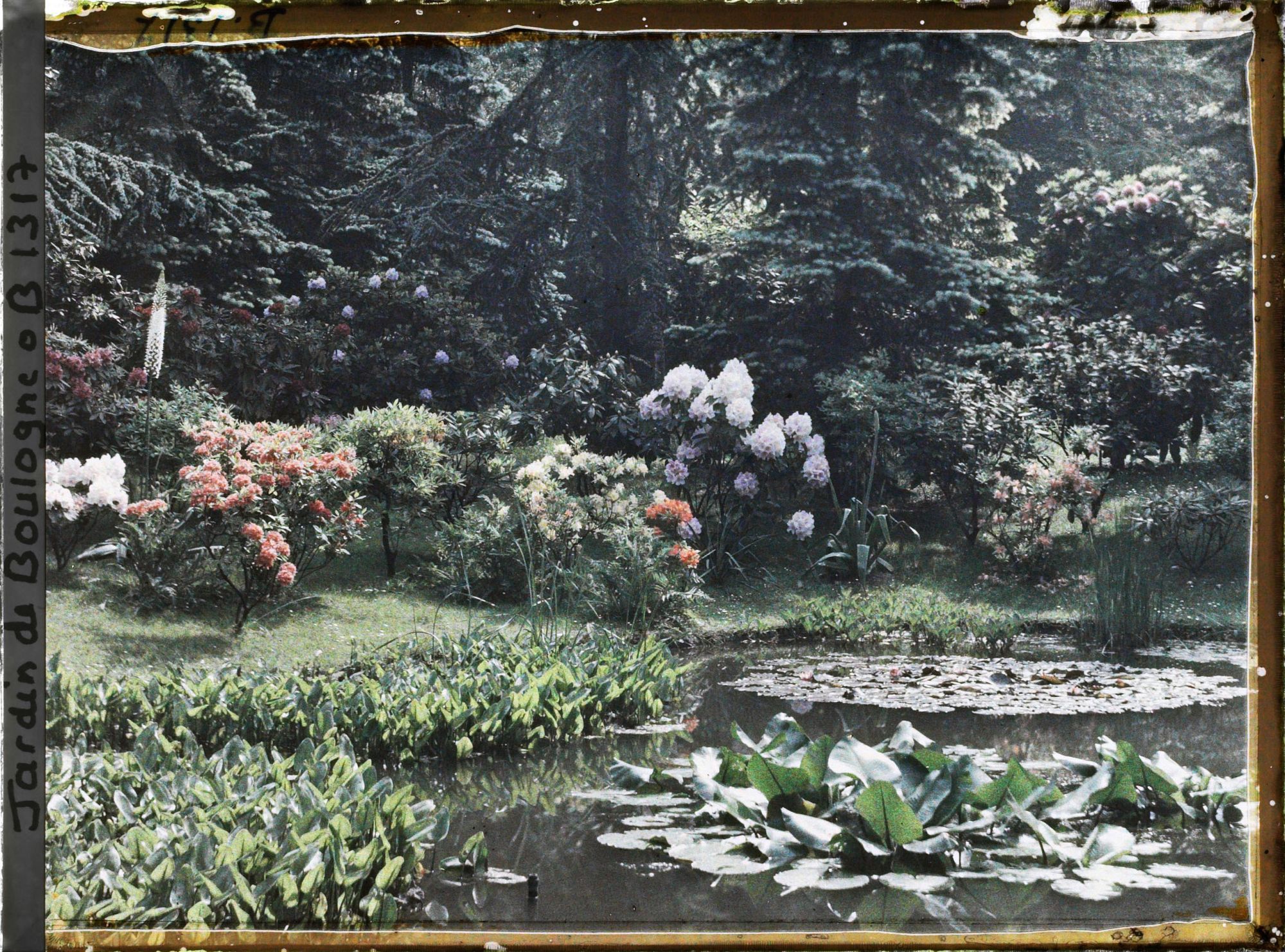 Image représentant Berges fleuries d'un " étang " situées au nord-est du marais et vues dans cette même direction