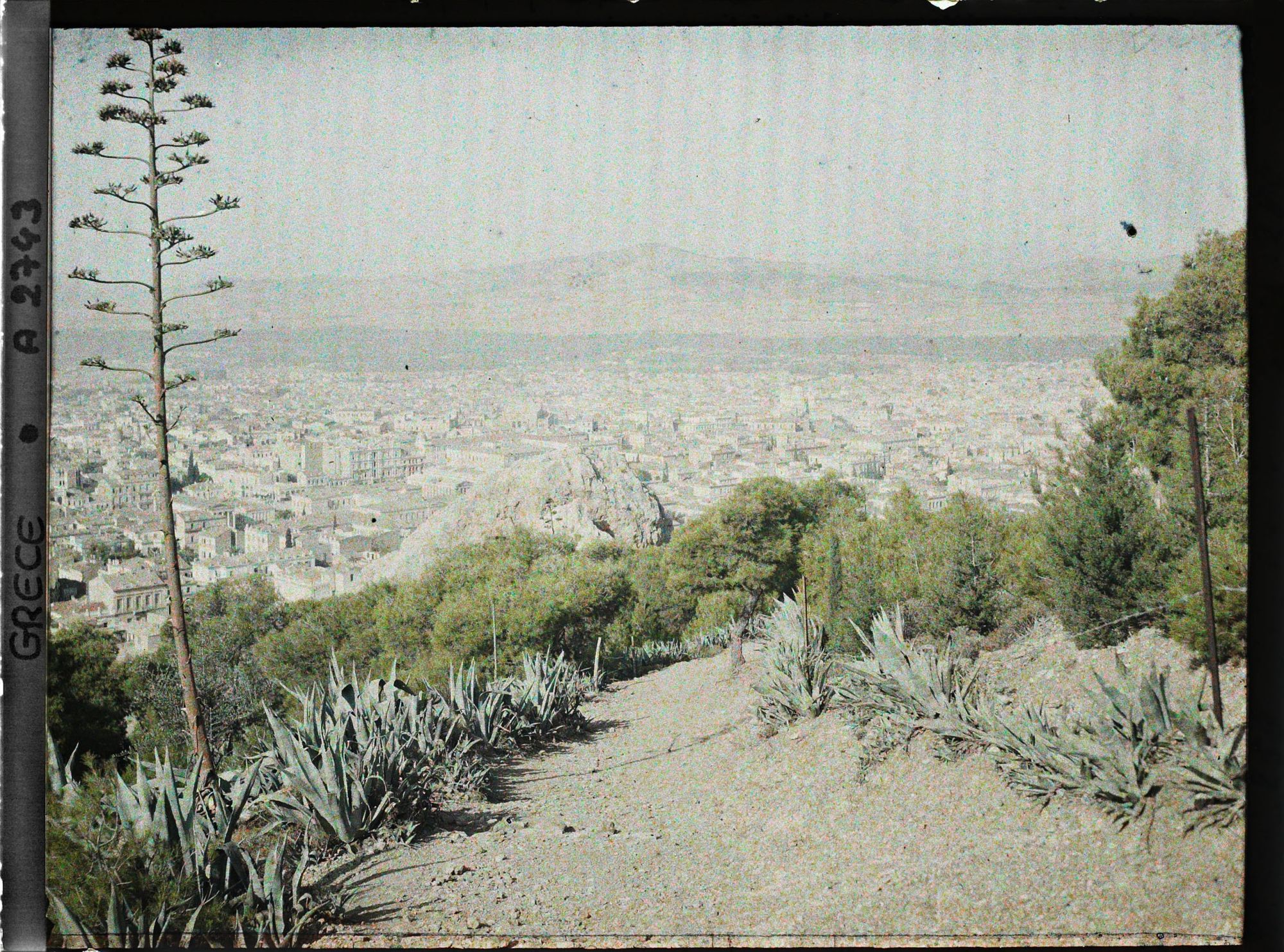 Image représentant Panorama sur la ville vers l'Acropole, depuis le Mont Lycabette. Au fond, le Mont Parnès