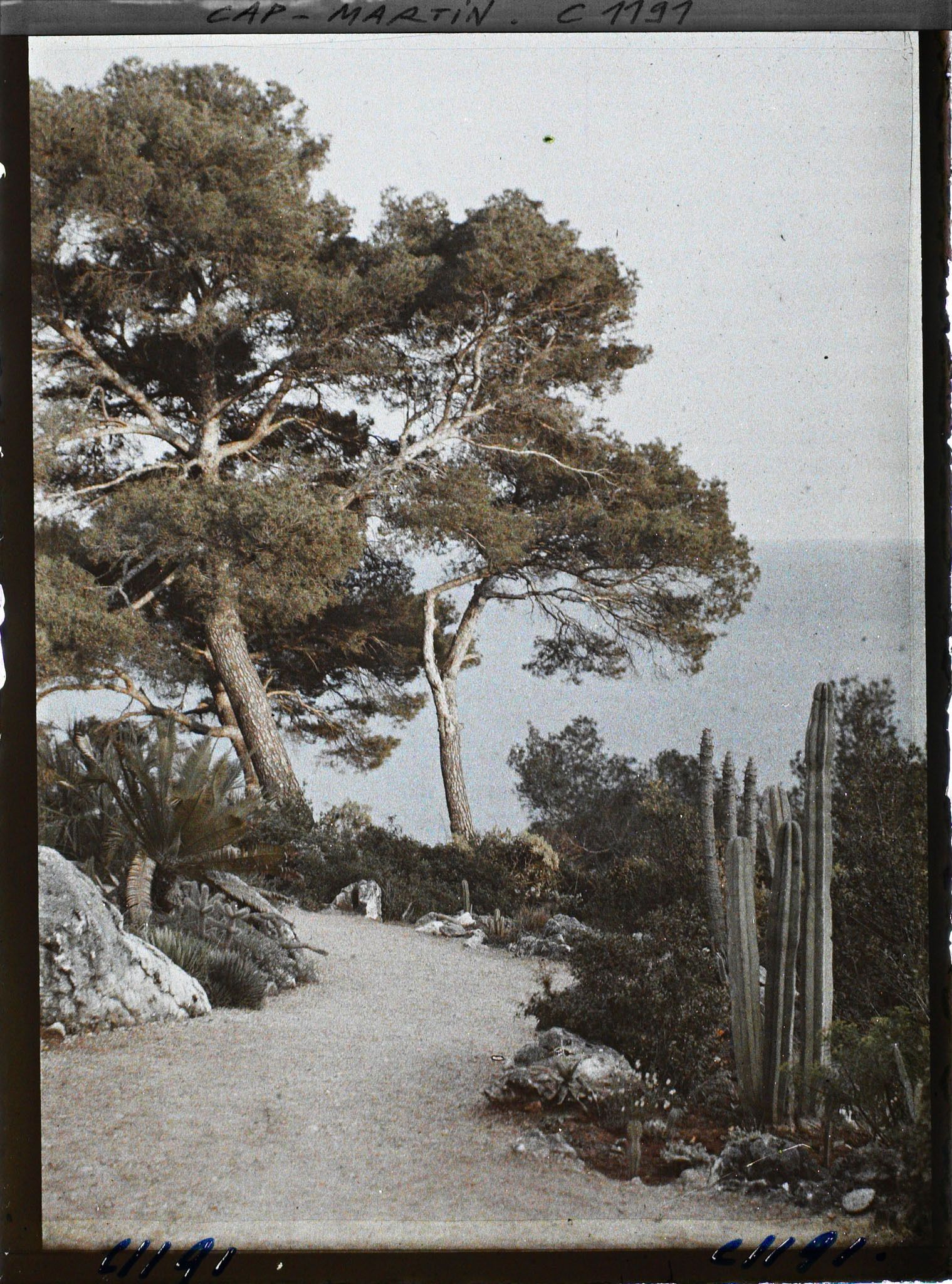 Image représentant le Jardin