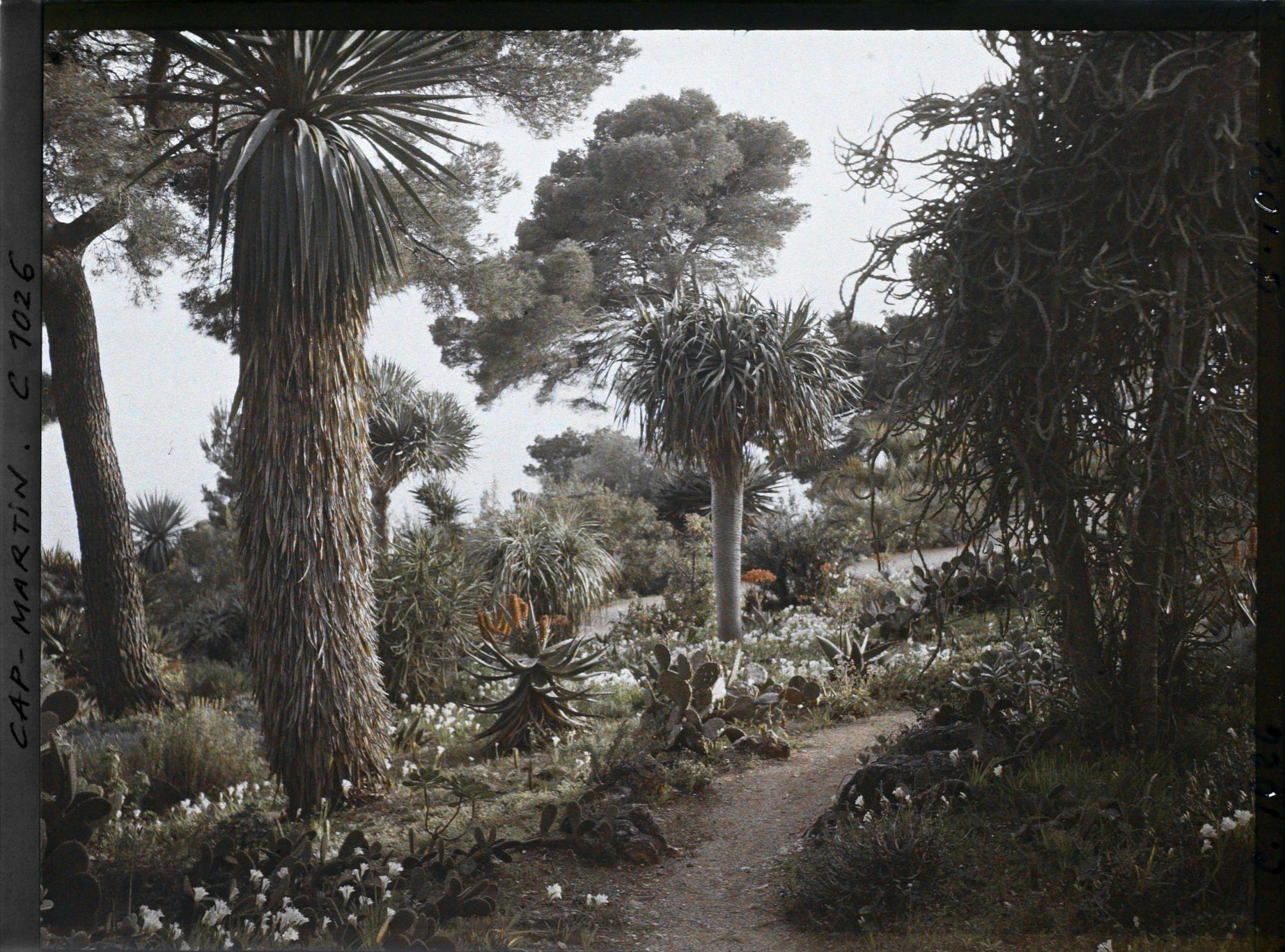 Image représentant Le Jardin