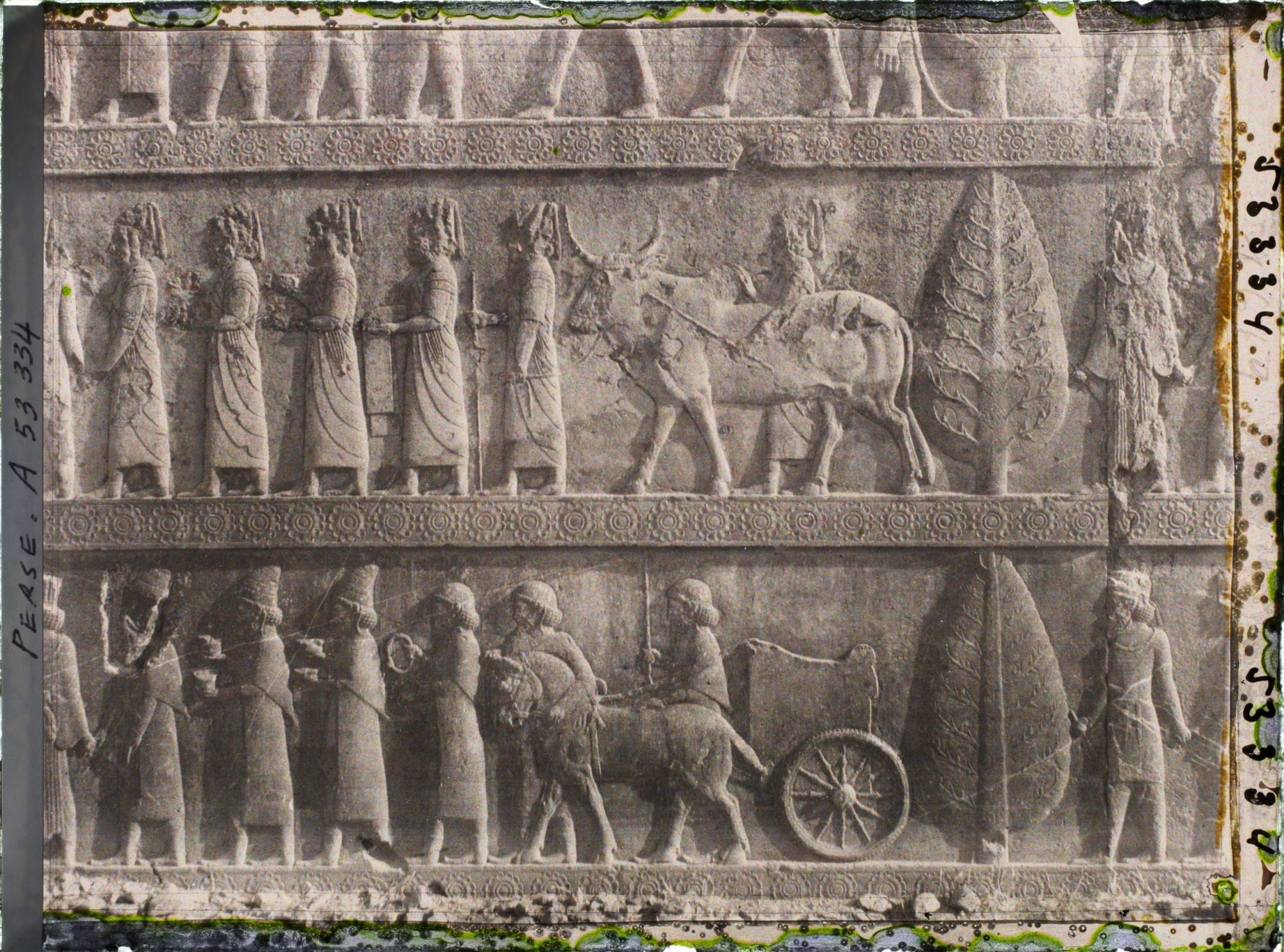 Image représentant Escalier nord de l'Apadana, détail de la procession des tributaires