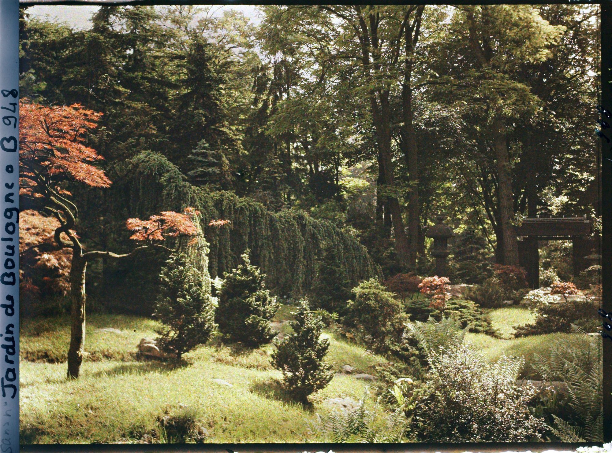 Image représentant Espace du " village japonais " ponctué d'érables rouges jusqu'à la porte ouvrant sur le jardin anglais