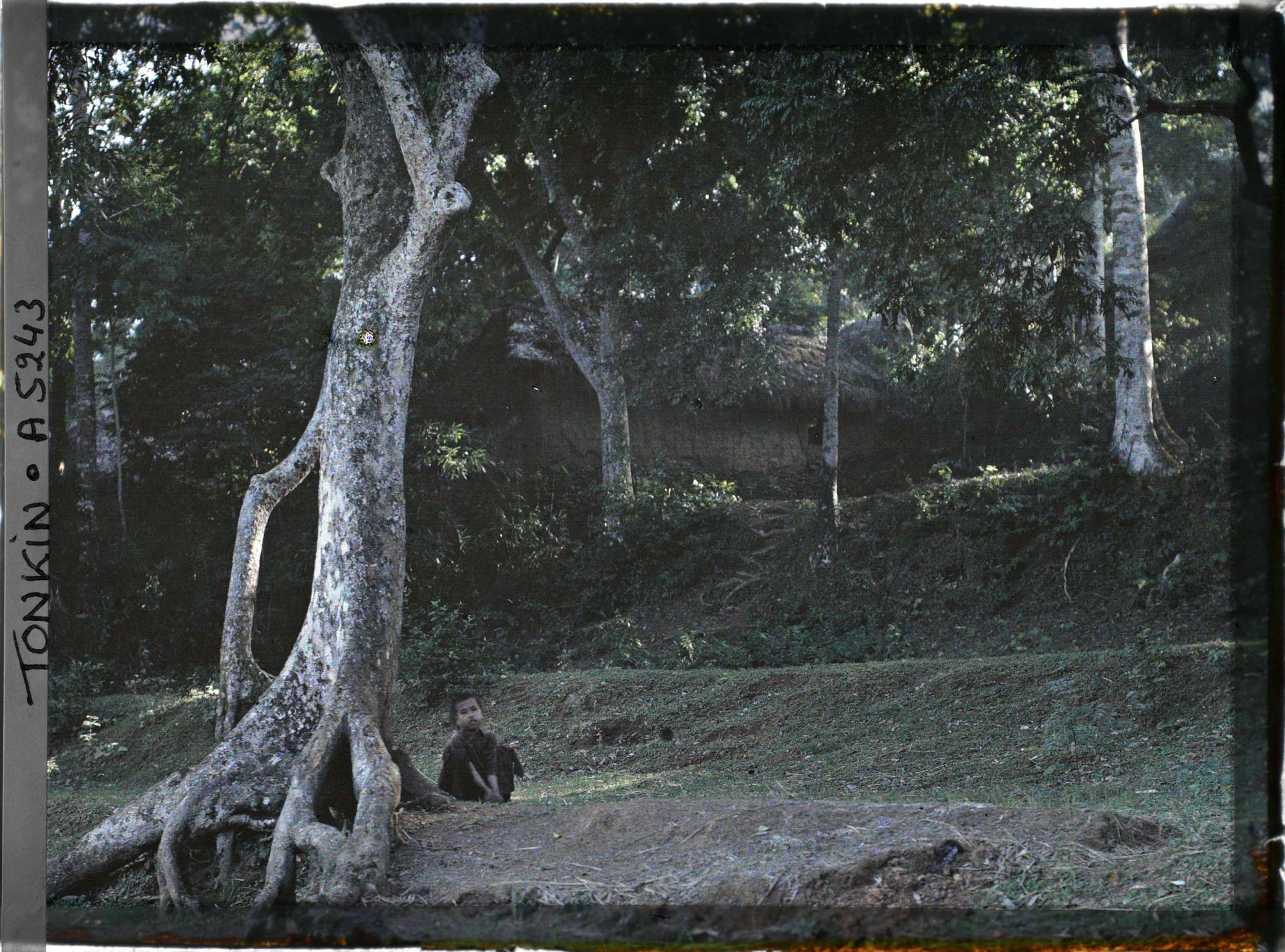 Image représentant Un enfant assis au pied d'un arbre aux abords d'un village