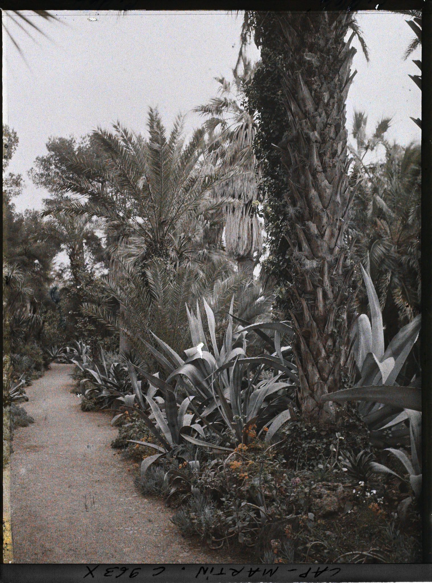 Image représentant Le Jardin