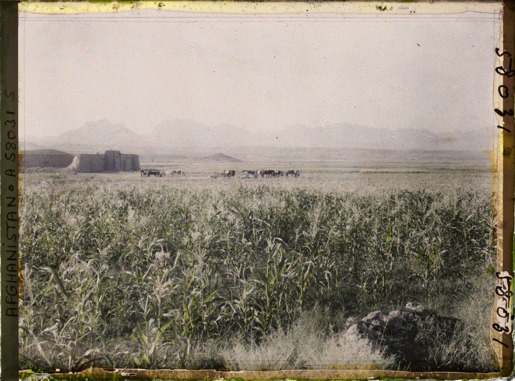 Image représentant Vue vers le caravansérail