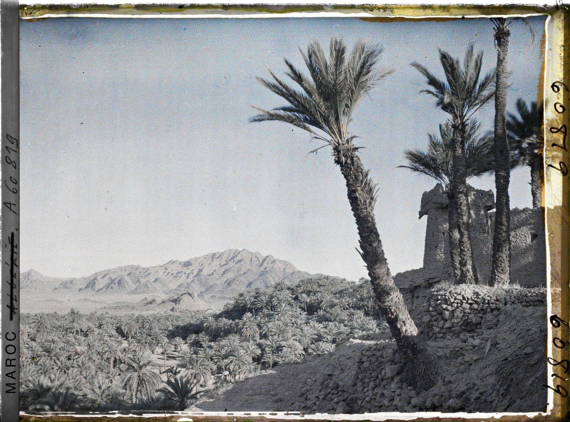 Image représentant Vue de la palmeraie avec au fond le Djebel Grouz, et à droite une tour de garde