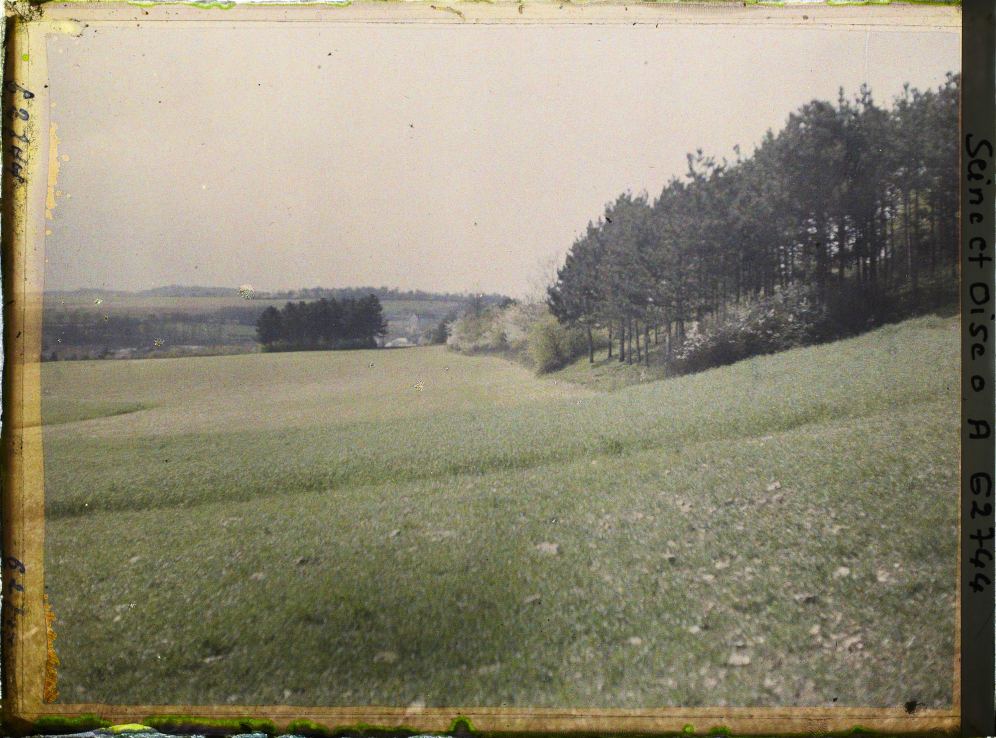 Image représentant Ile de France, Vallangoujard, Champ de seigle au 1er plan, champ de blé à l'arrière plan