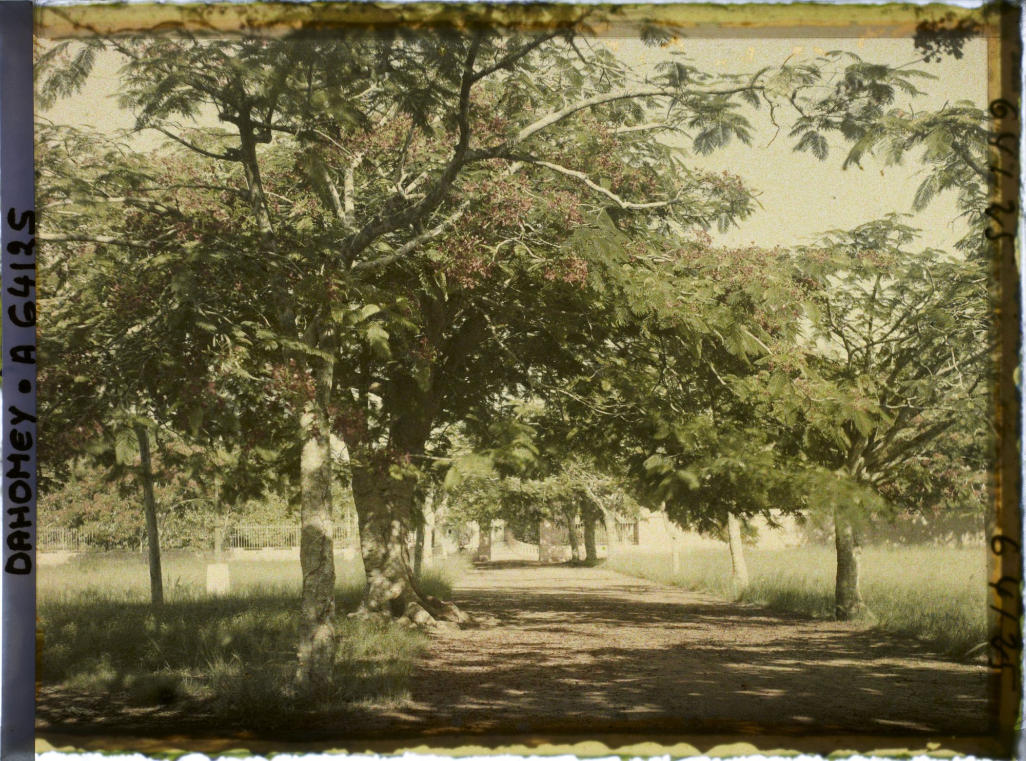 Image représentant Entrée de la Résidence du gouverneur