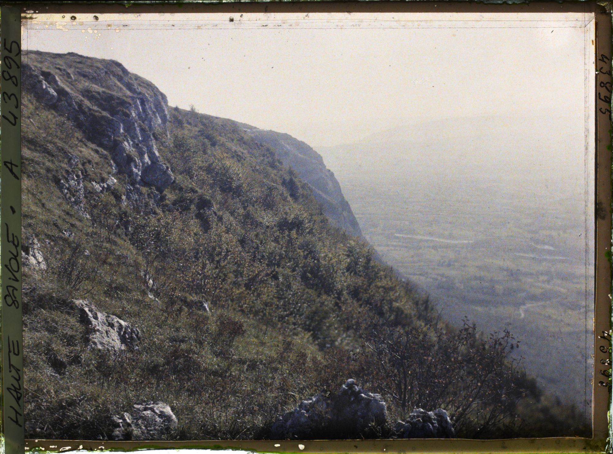 Image représentant France, Le Salève, Végétation et pentes Sud du Gd Salève