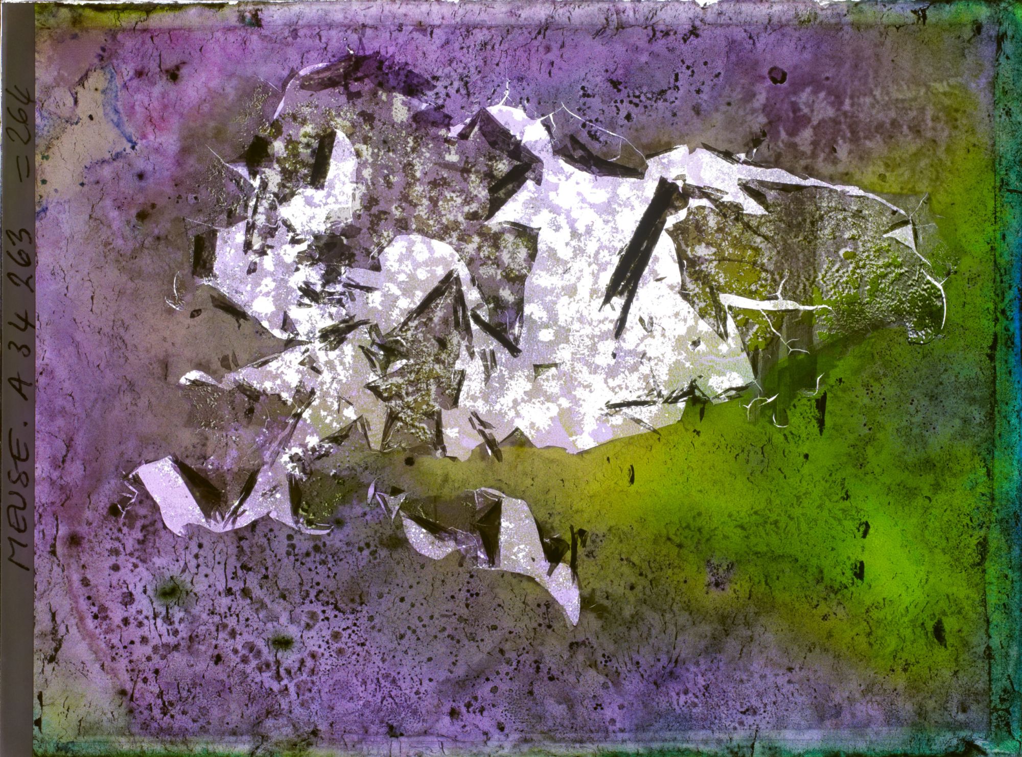 Image représentant Image illisible, plaque endommagée par l'eau (altérations d'époque)