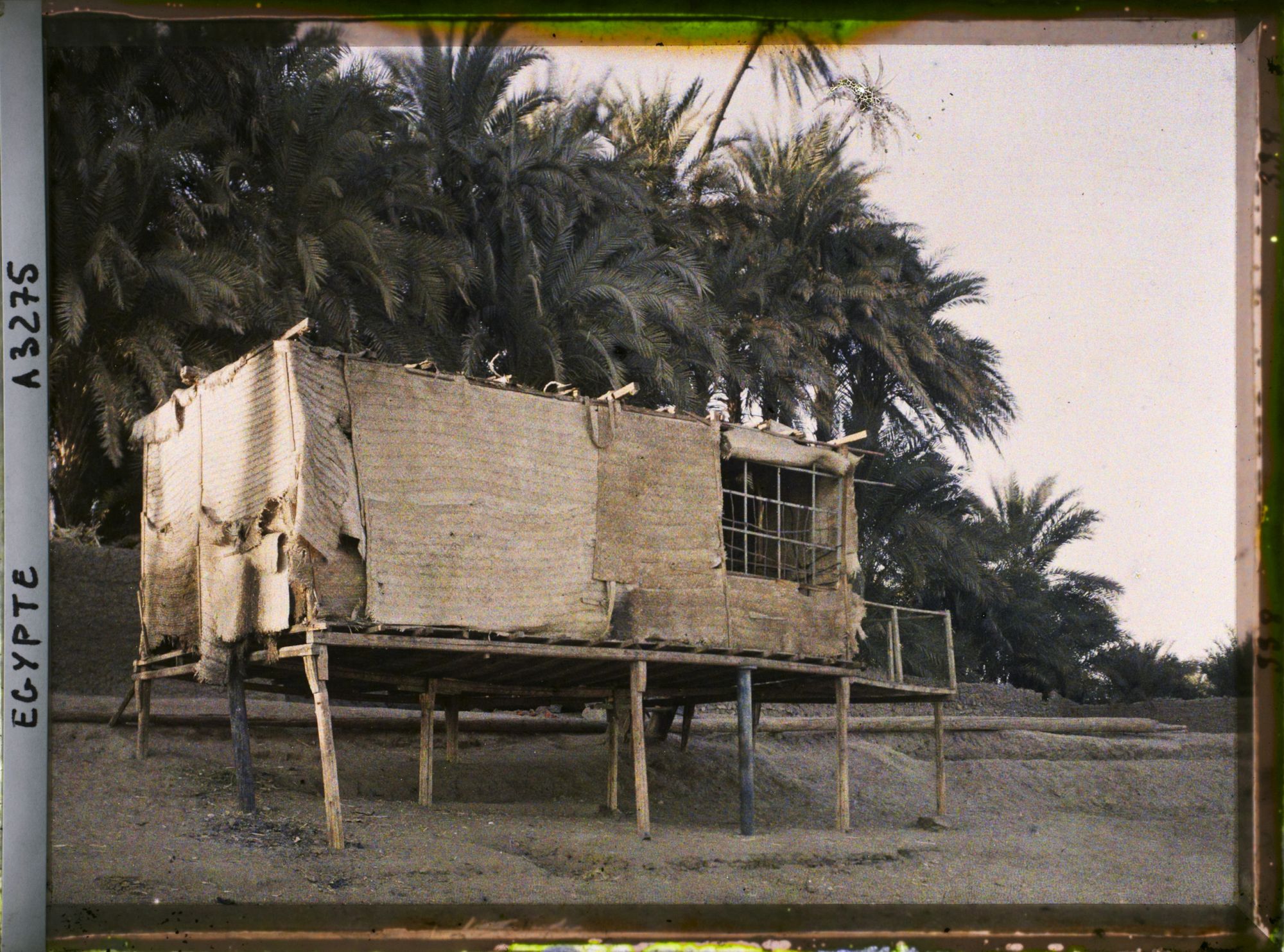 Image représentant Maison sur pilotis au bord du Nil sur l'île d'Eléphantine