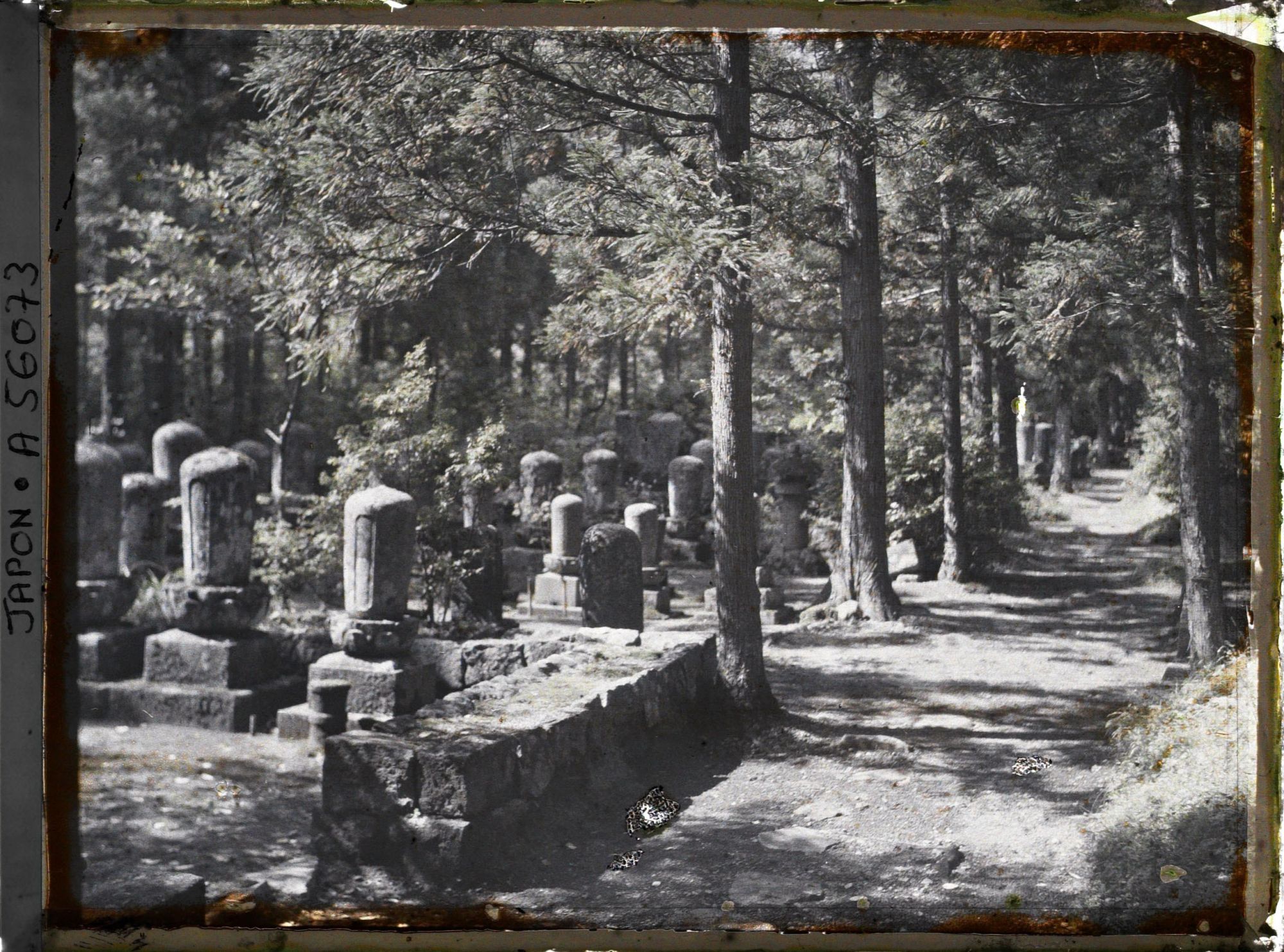 Image représentant Petit cimetière bouddhiste