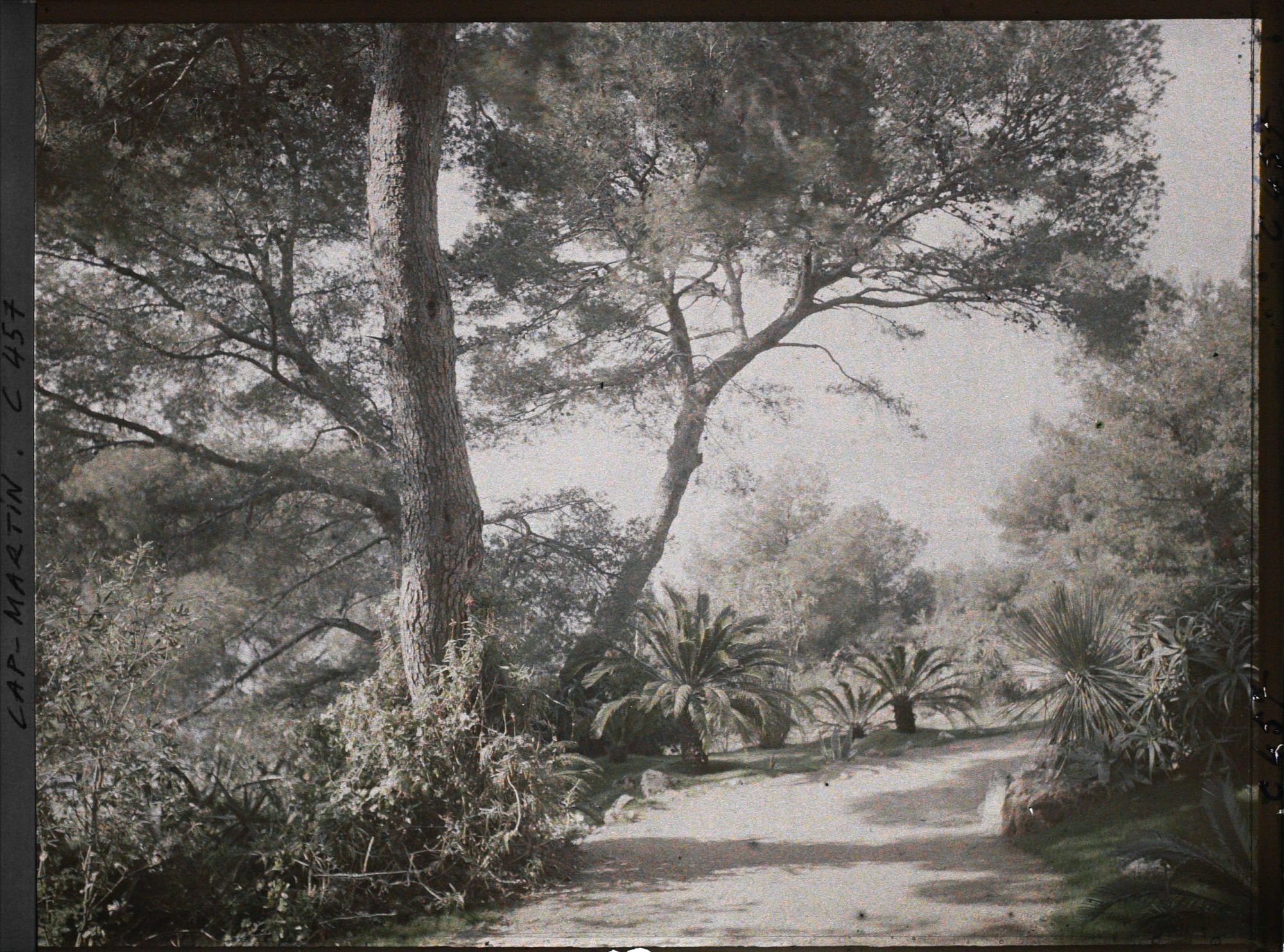 Image représentant Cap Martin Le Jardin
