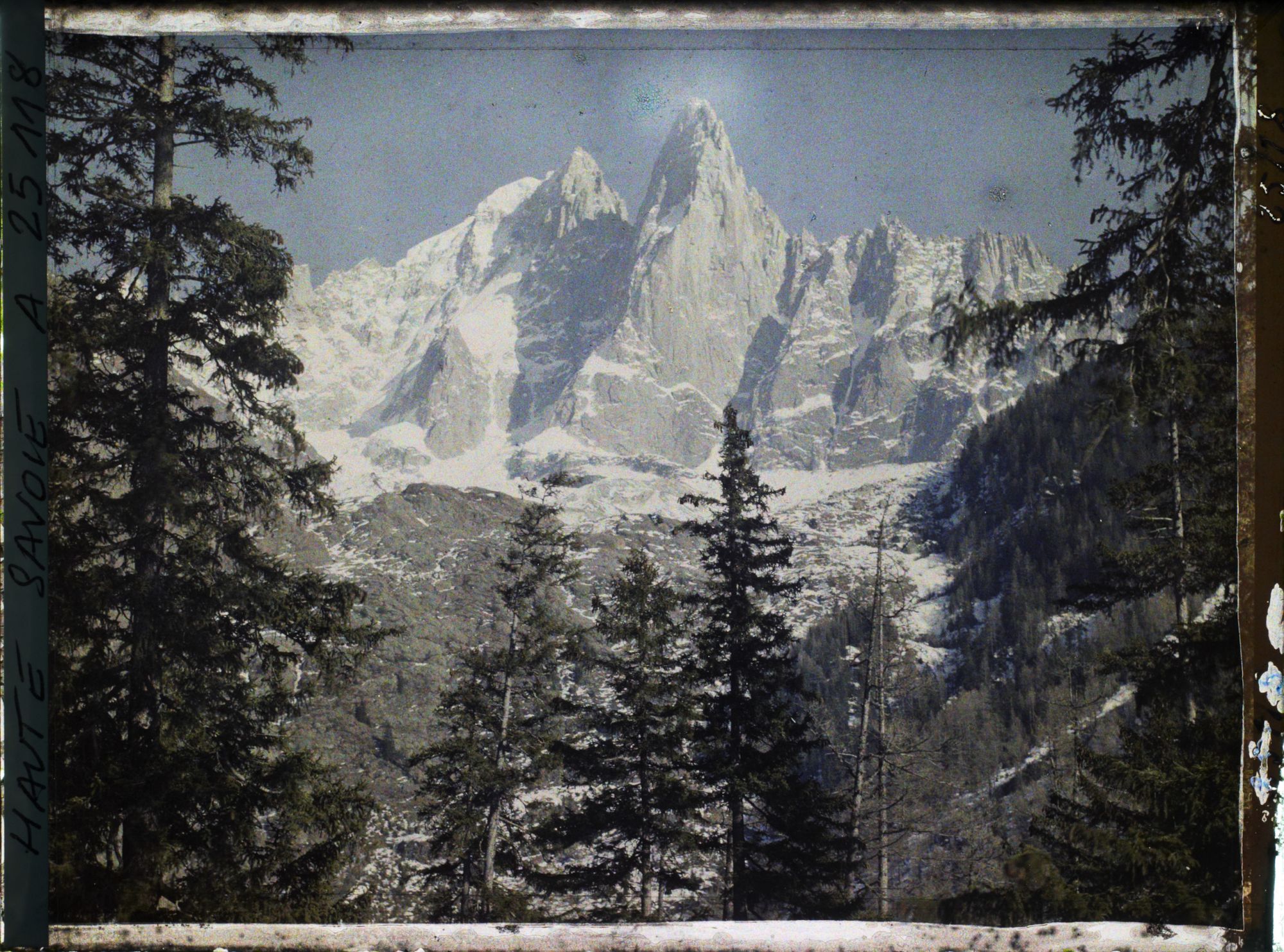 Image représentant France Les Alpes, Vallée de Chamonix, Du Village des Bois : l'Aiguille Verte, l'Aige du Dru à travers les Arbres