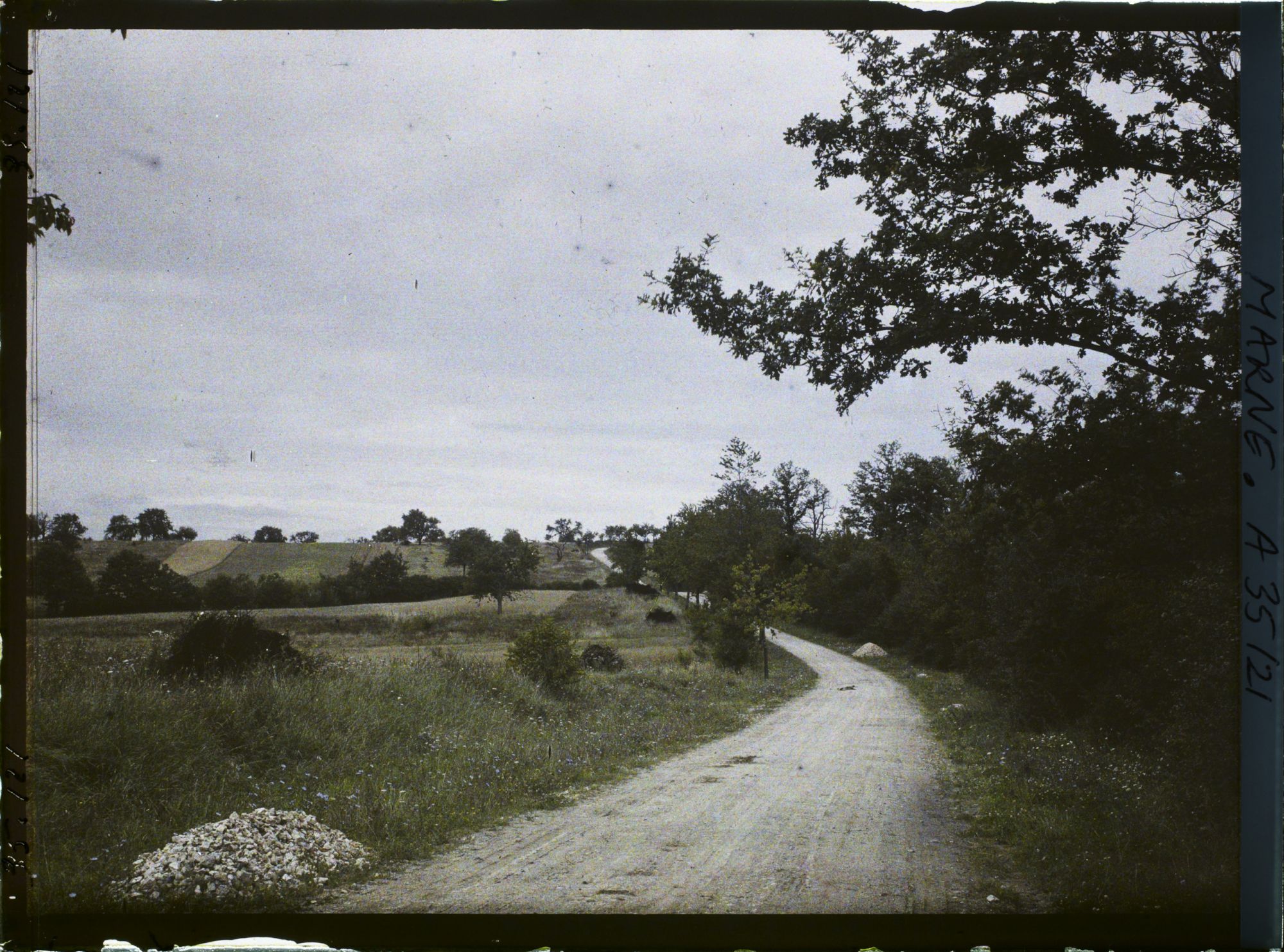Image représentant France, Binarville (Meuse), Chemin de la Chapelle St Roch à Vienne le Château