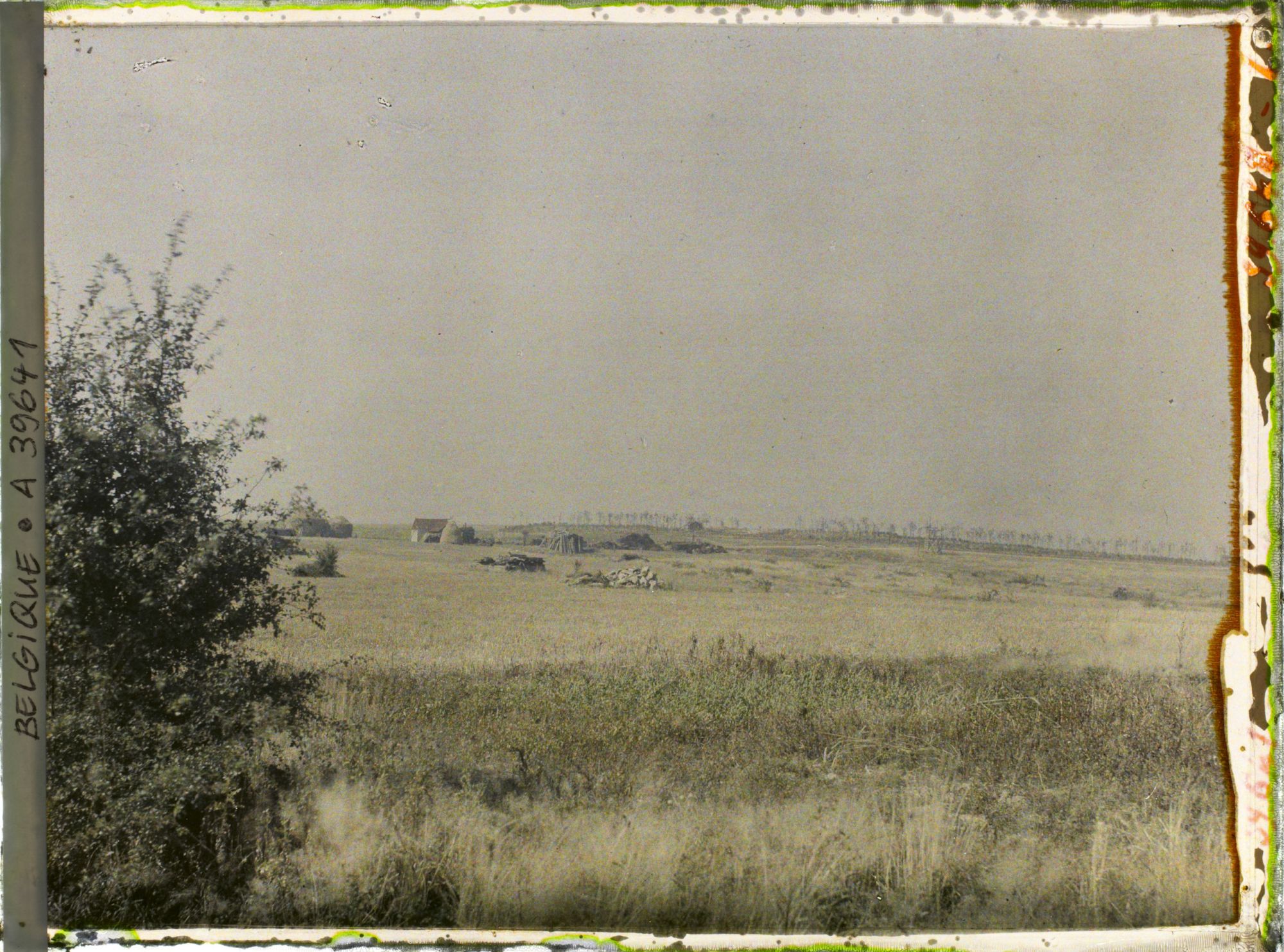 Image représentant Belgique, Hooghe, Une vue vers le bois du Sanctuaire vu de l'Est