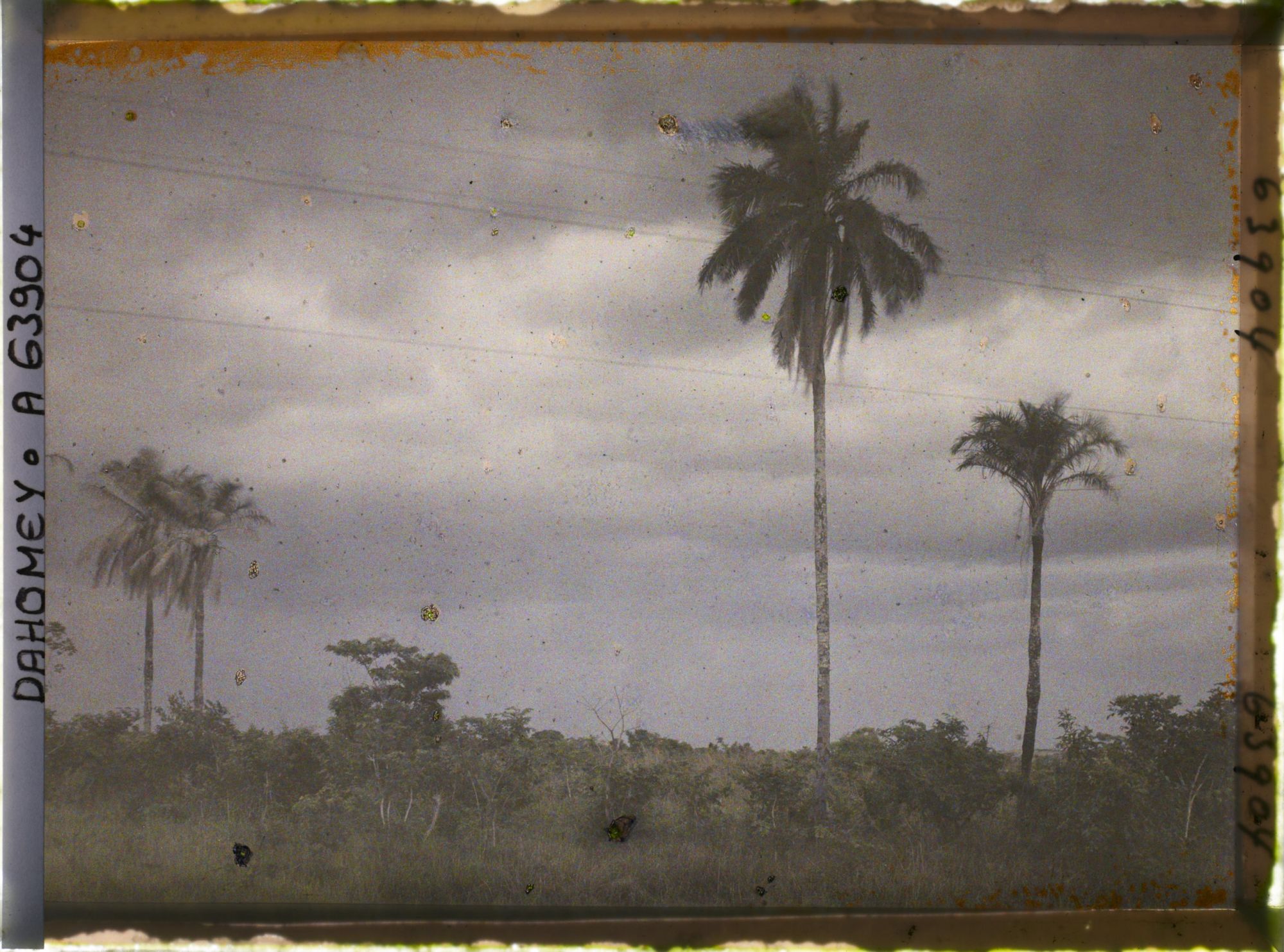 Image représentant Tornade en préparation