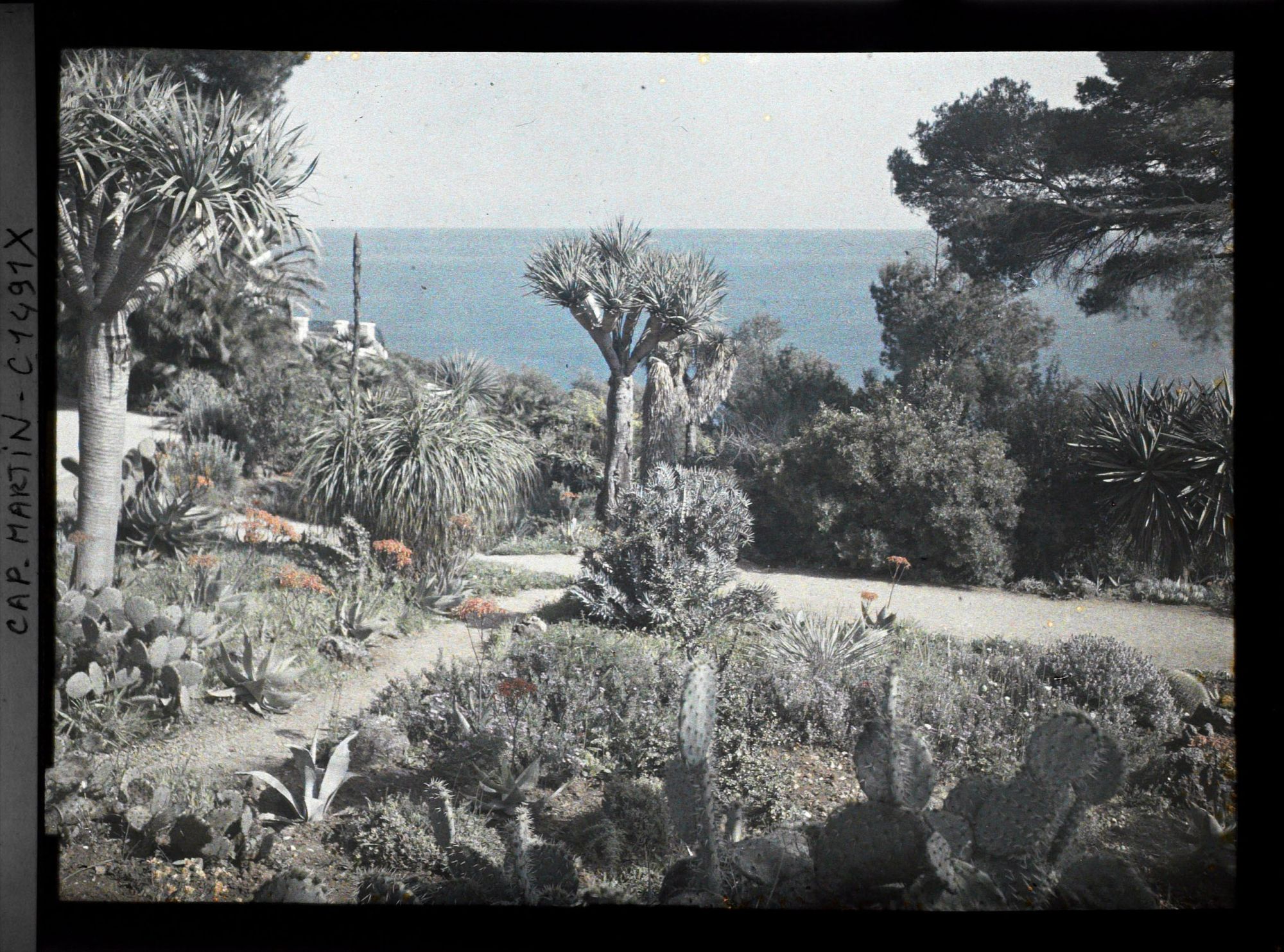 Image représentant Villa Kahn - le jardin et la terrasse de la villa à l'arrière-plan