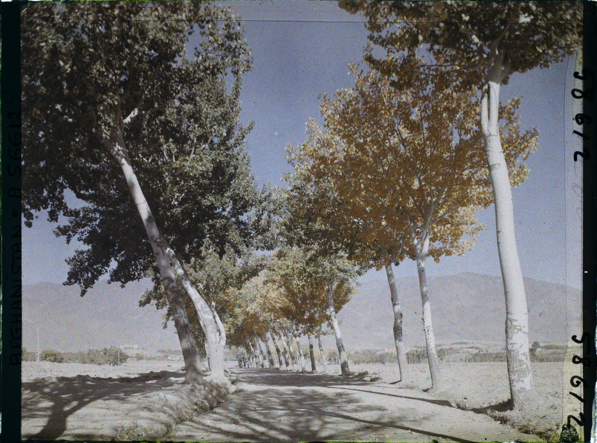 Image représentant Afghanistan, Kaboul, La route de Paghman Kaboul, effet d'automne