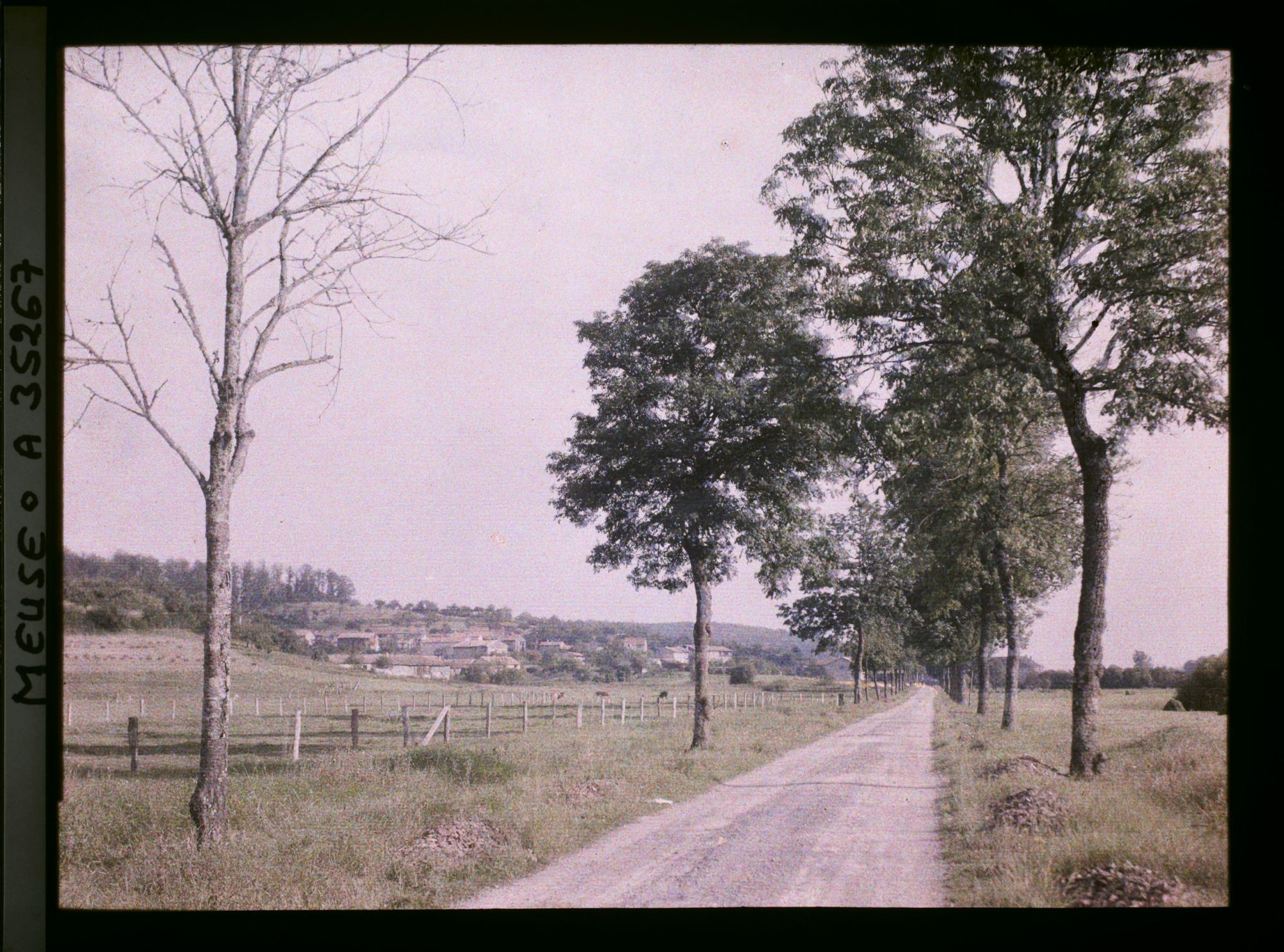 Image représentant France, La Chalade, Aspect de la route vers la Chalade