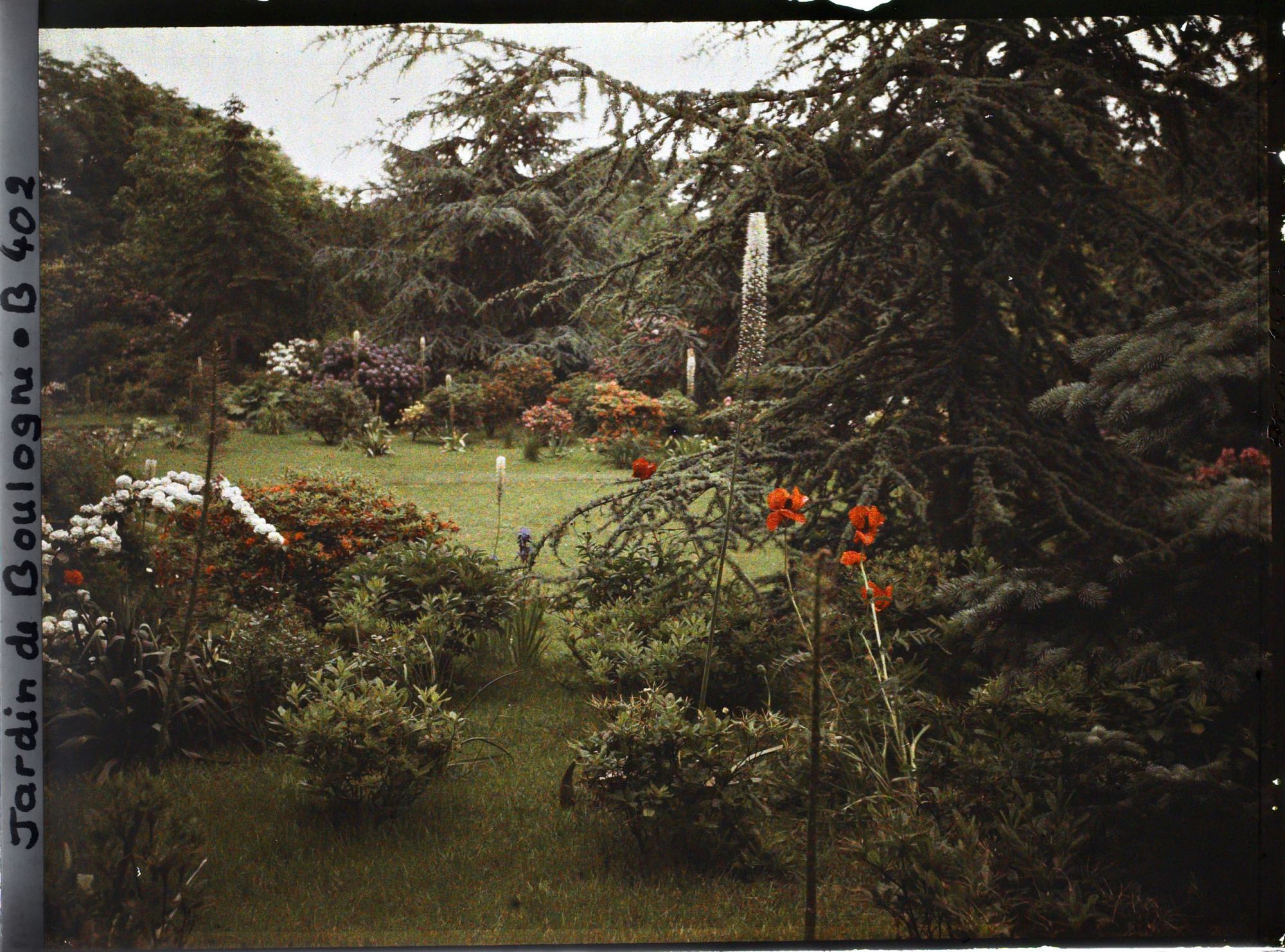 Image représentant Partie est du marais ourlée d'arbustes colorés, vue en direction du nord-est depuis un recoin fleuri