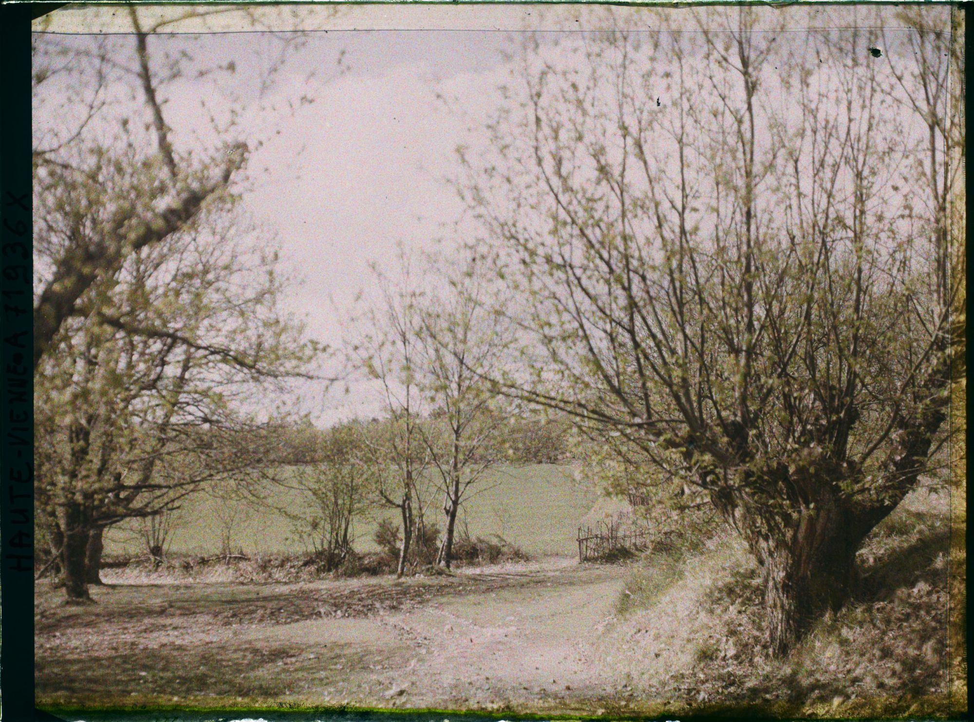 Image représentant Paysage de camapagne
