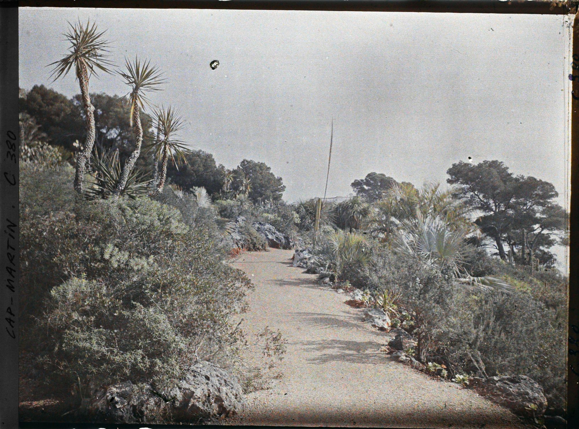 Image représentant Cap Martin Le Jardin