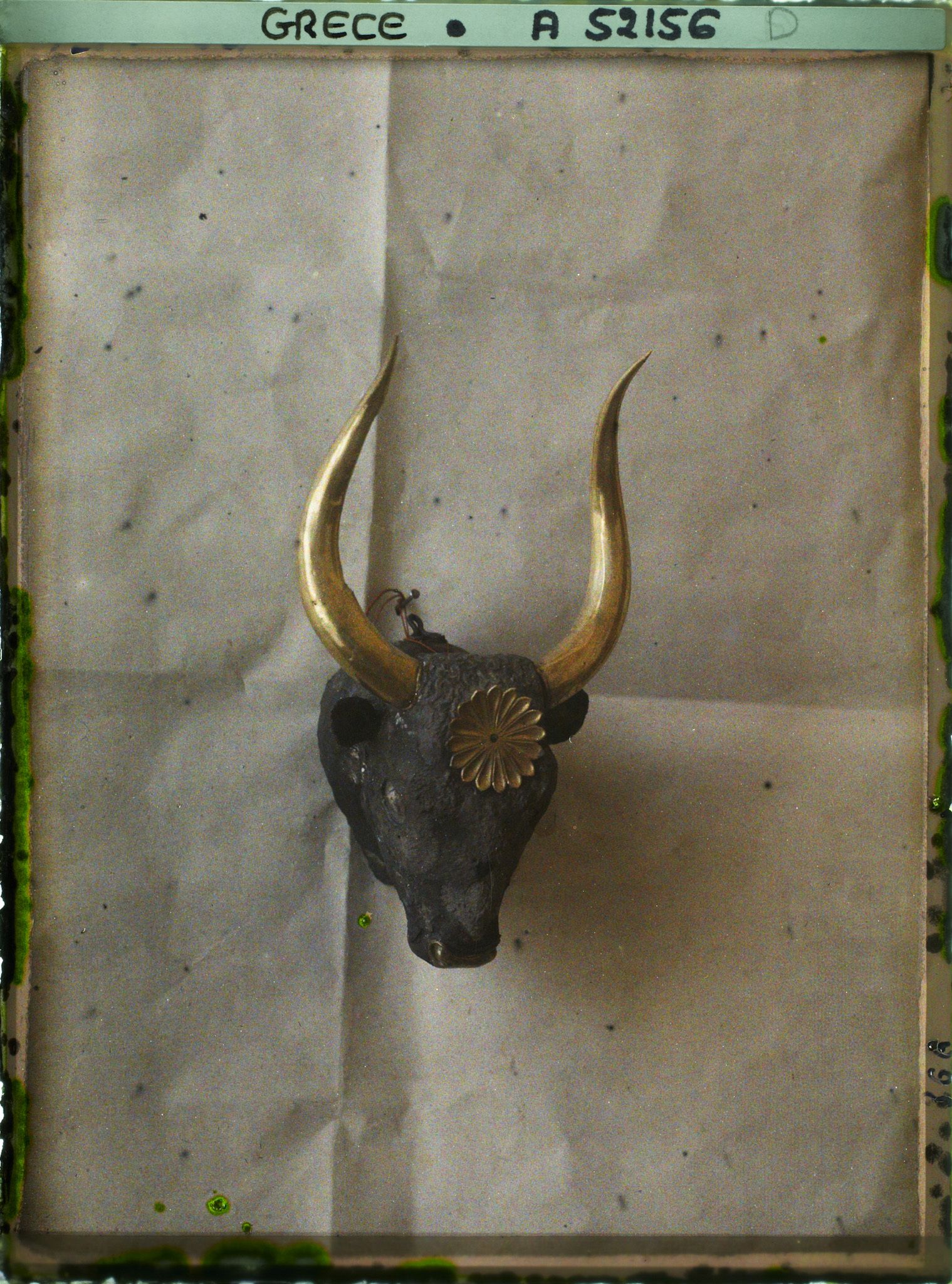 Image représentant Rhyton (coupe) en argent en forme de tête de taureau, avec cornes, mufle et rosace décorative en or