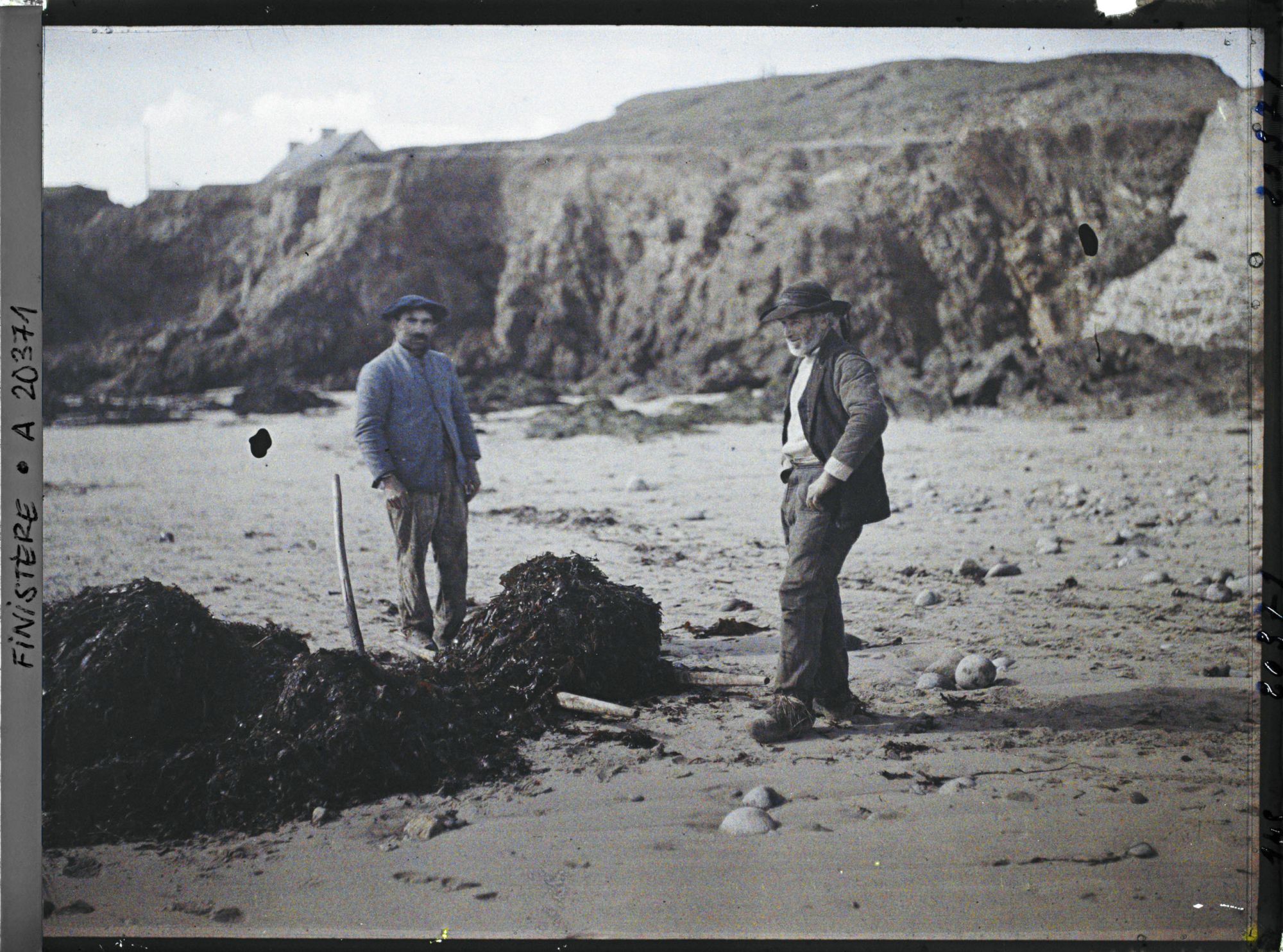 Image représentant Deux hommes transportant du goémon sur la plage du Loc'h