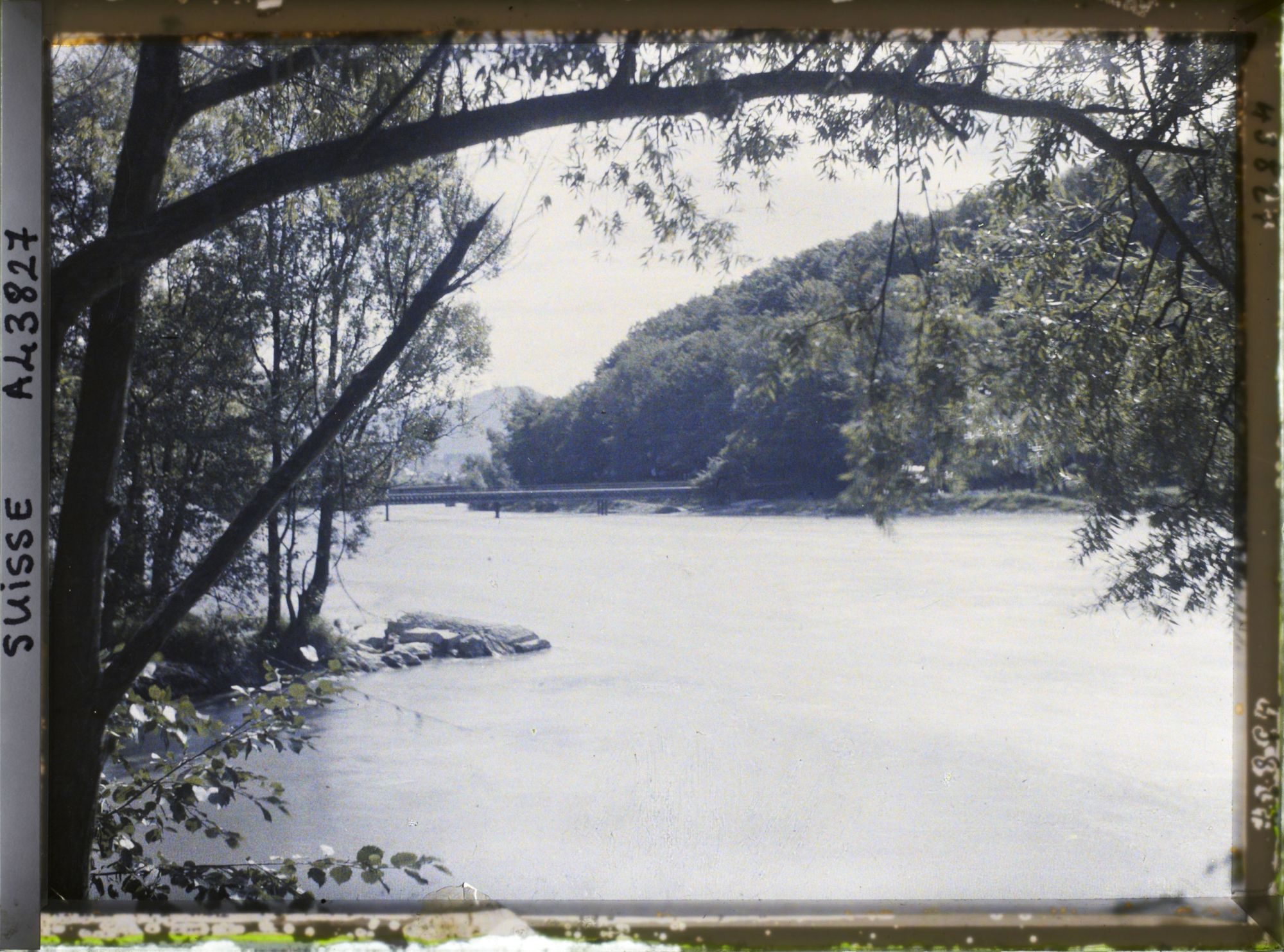 Image représentant L'Arve