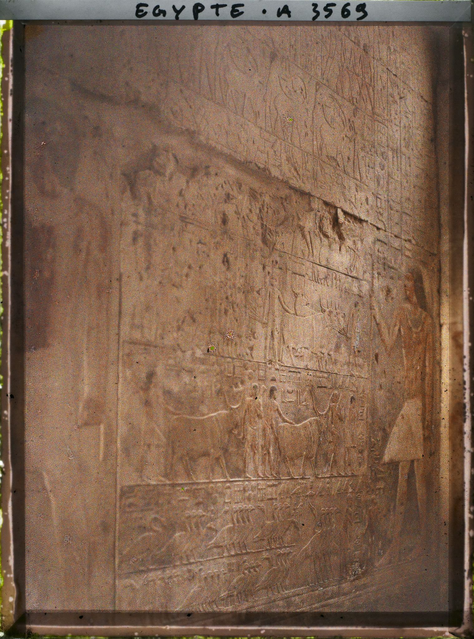 Image représentant Bas-reliefs se trouvant dans le  null mastaba de Ptahhotep fils d'Akhouthotep, haut dignitaire de la Ve dynastie