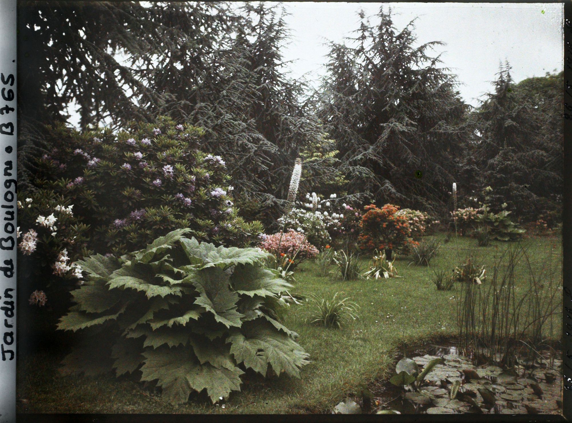 Image représentant Le marais