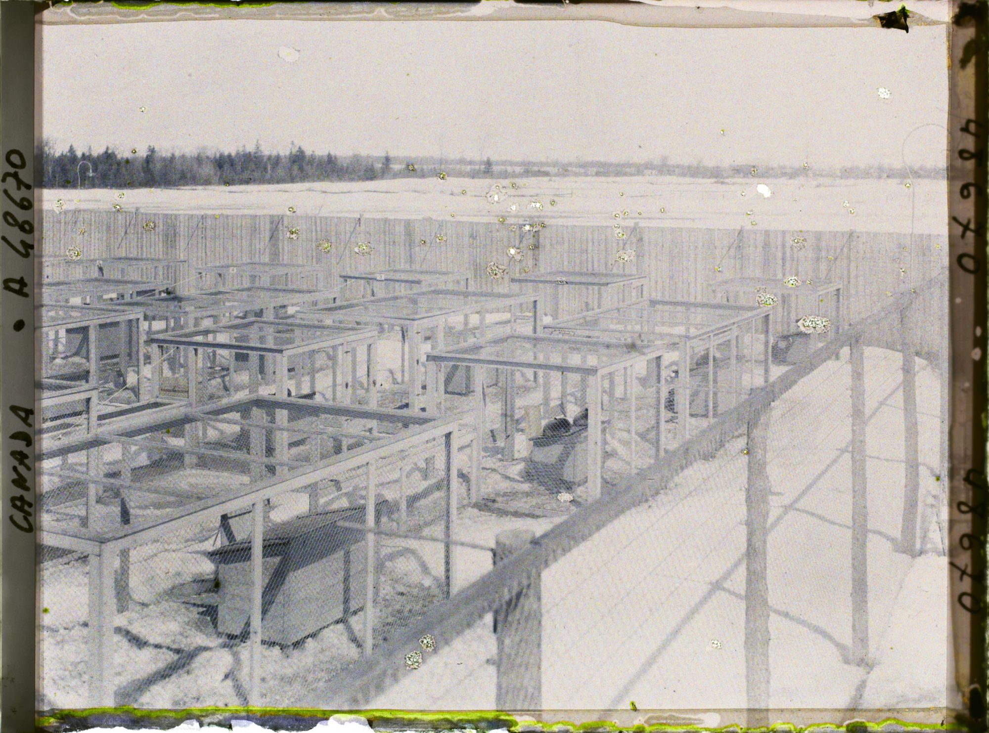 Image représentant Canada, Laval Des Rapides, Ferme de Renards argentés